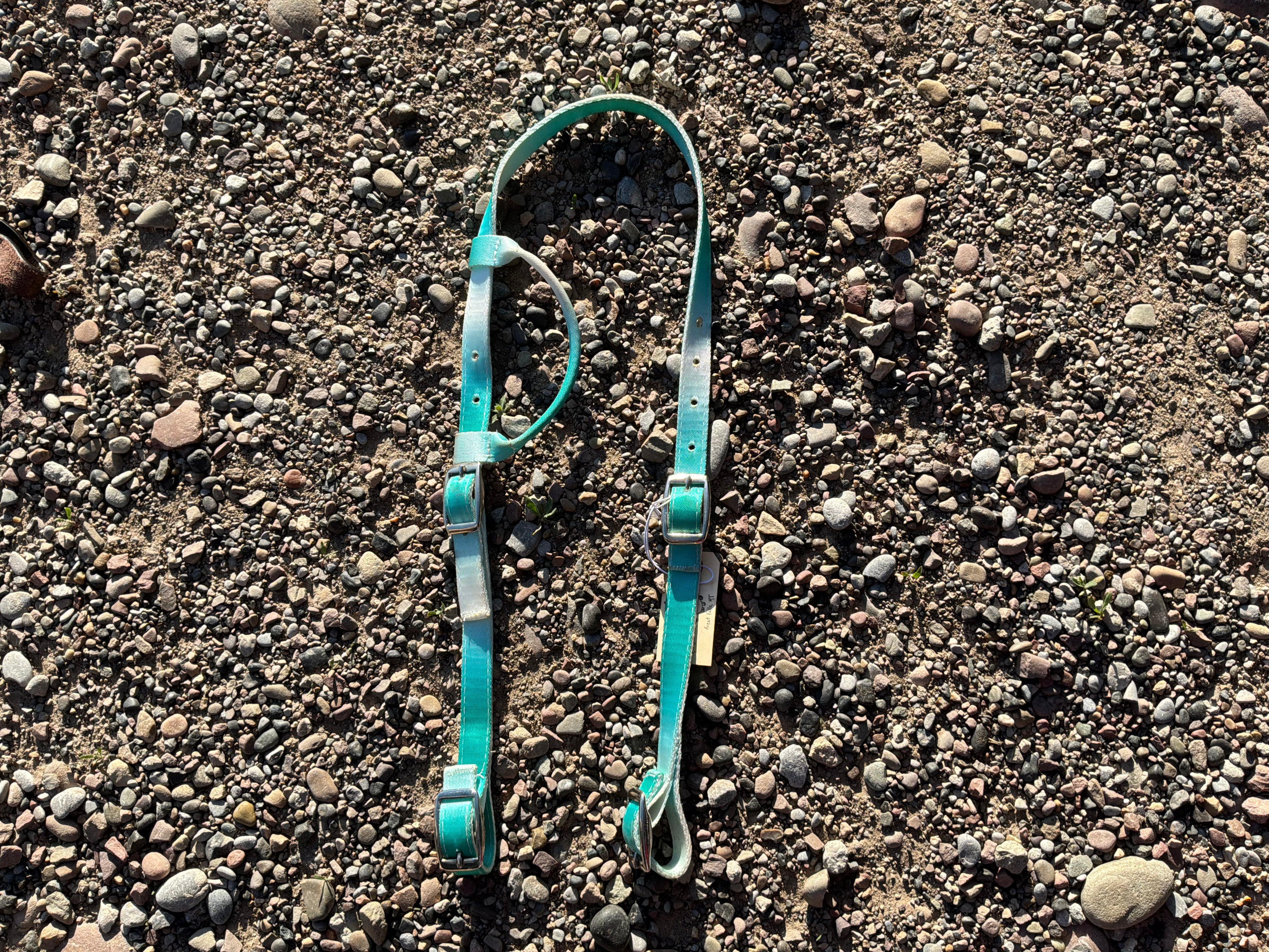 Ombré single ear nylon headstall