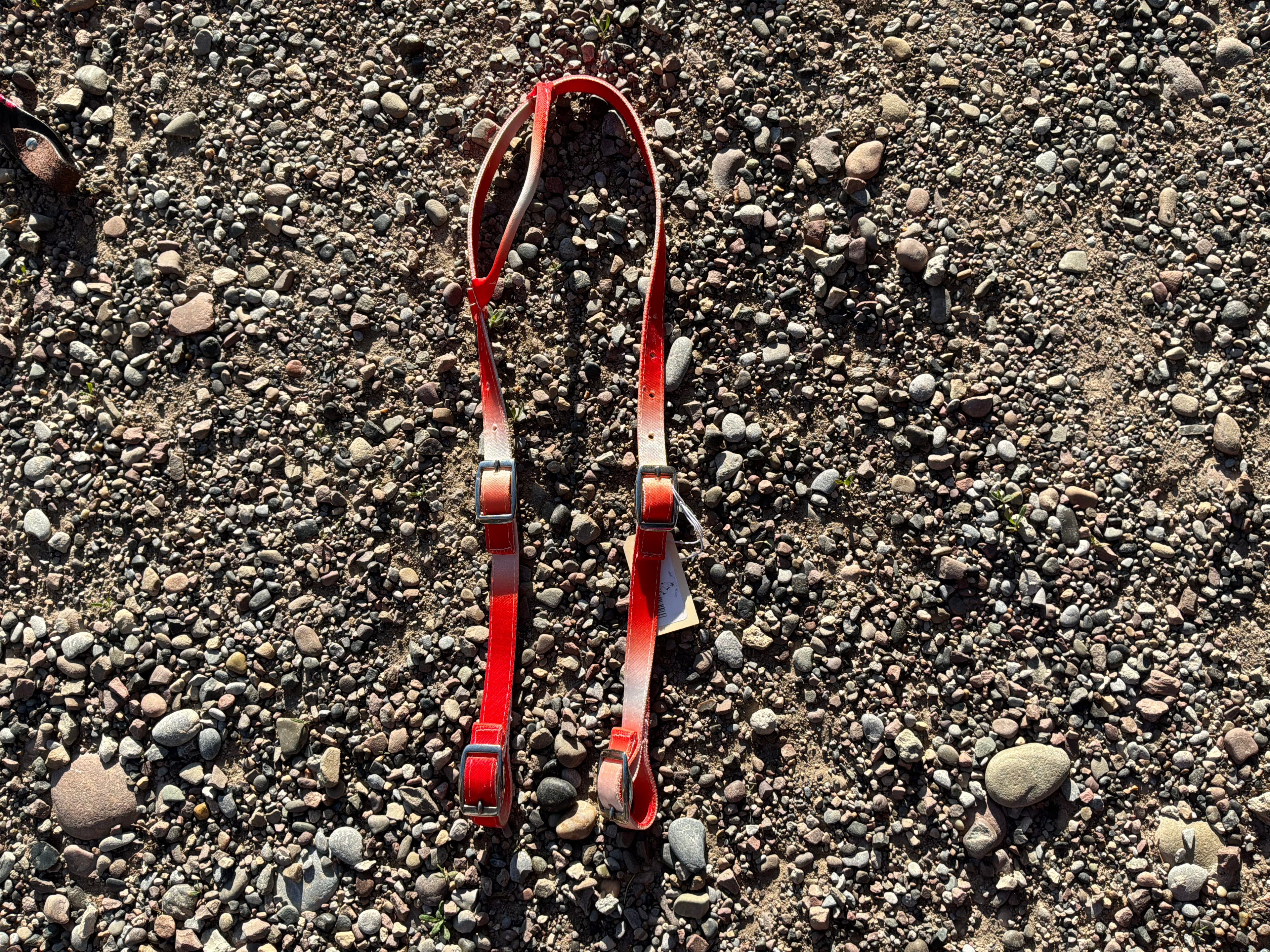 Ombré single ear nylon headstall