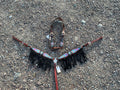 Psychedelic with fringe pony breast collar & headstall