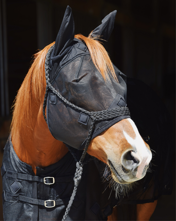 Eleven 11 magnetic fly mask black