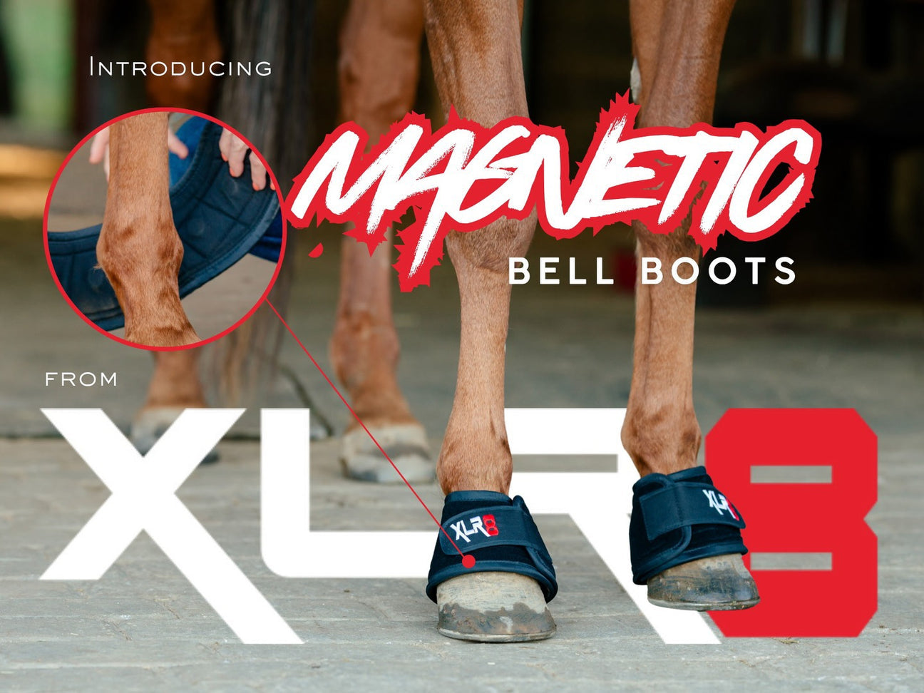 Xlr8 magnetic bell boots full size