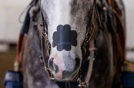 EquiBreathe Equine Nasal Patch