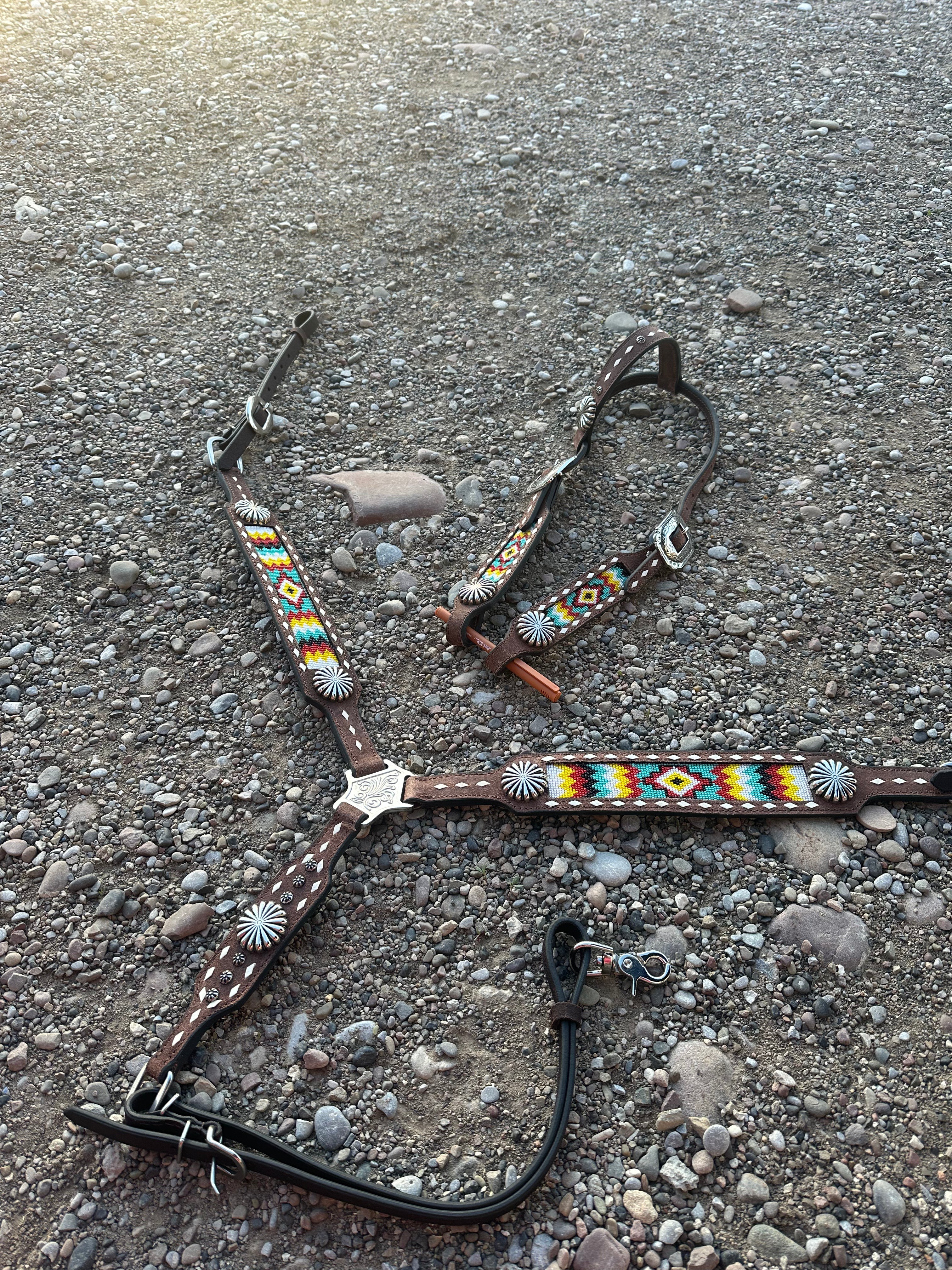 Custom accented breast collars & matching Headstalls