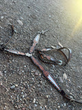 Custom accented breast collars & matching Headstalls