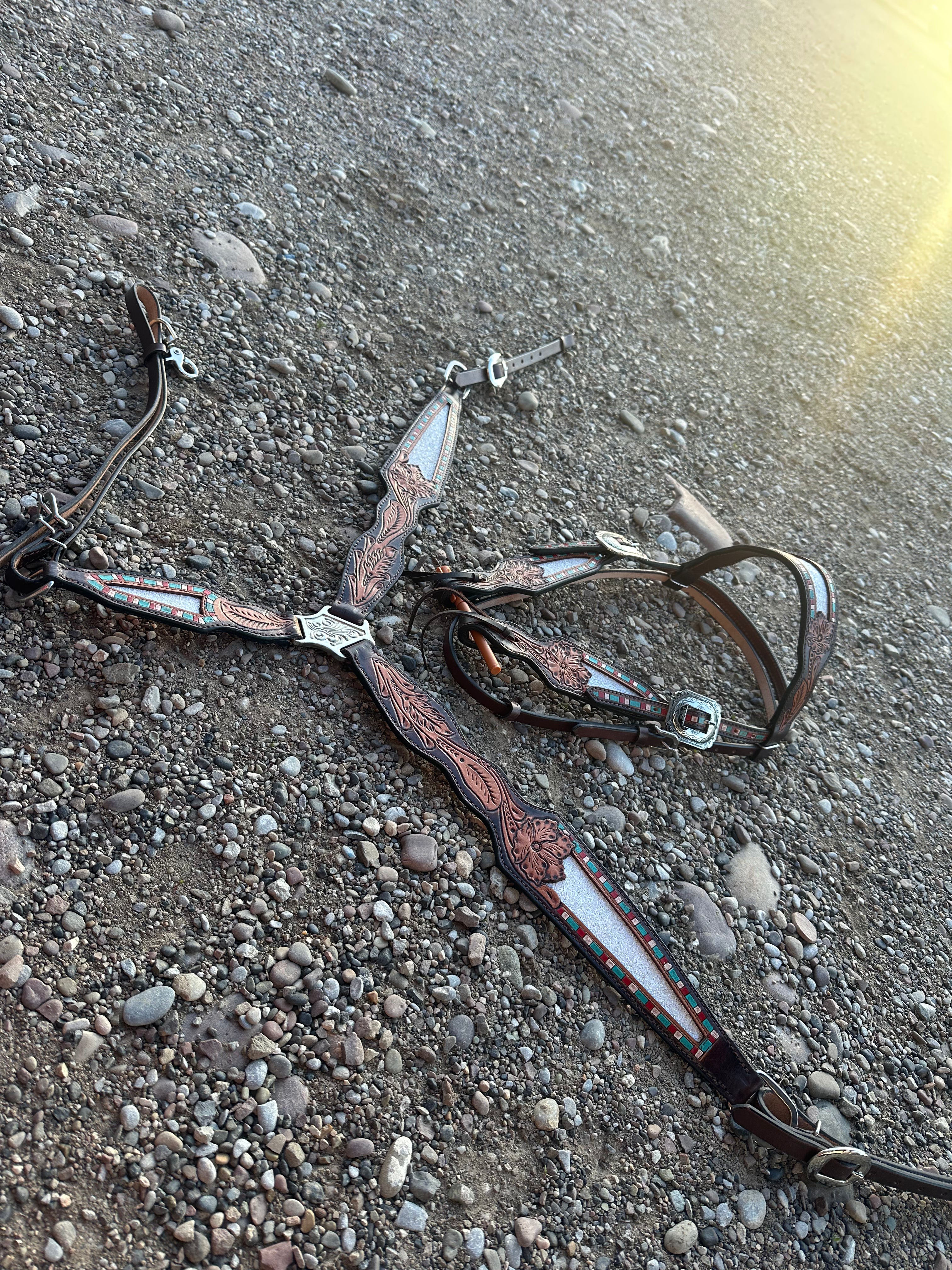 Custom accented breast collars & matching Headstalls