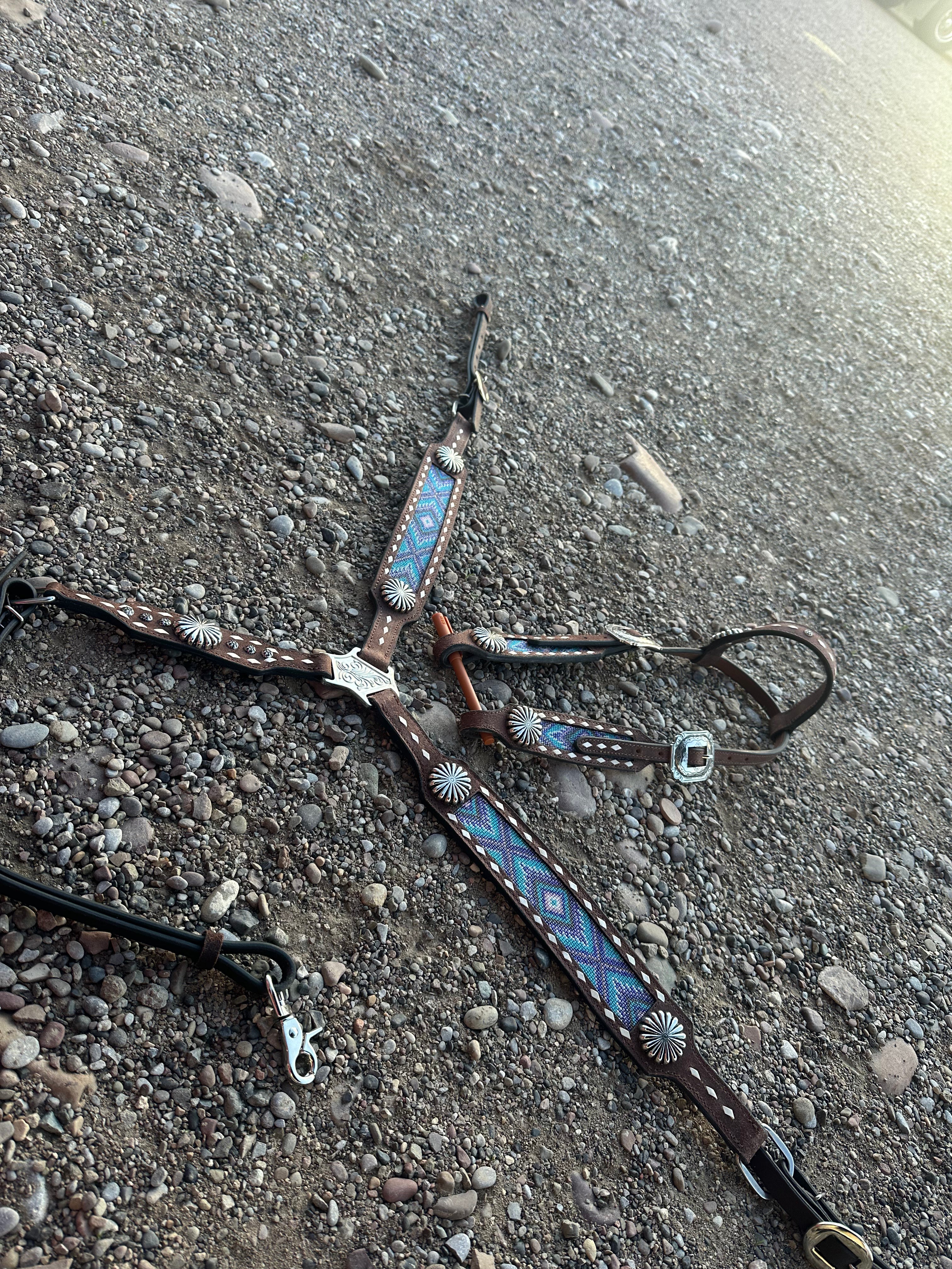 Custom accented breast collars & matching Headstalls