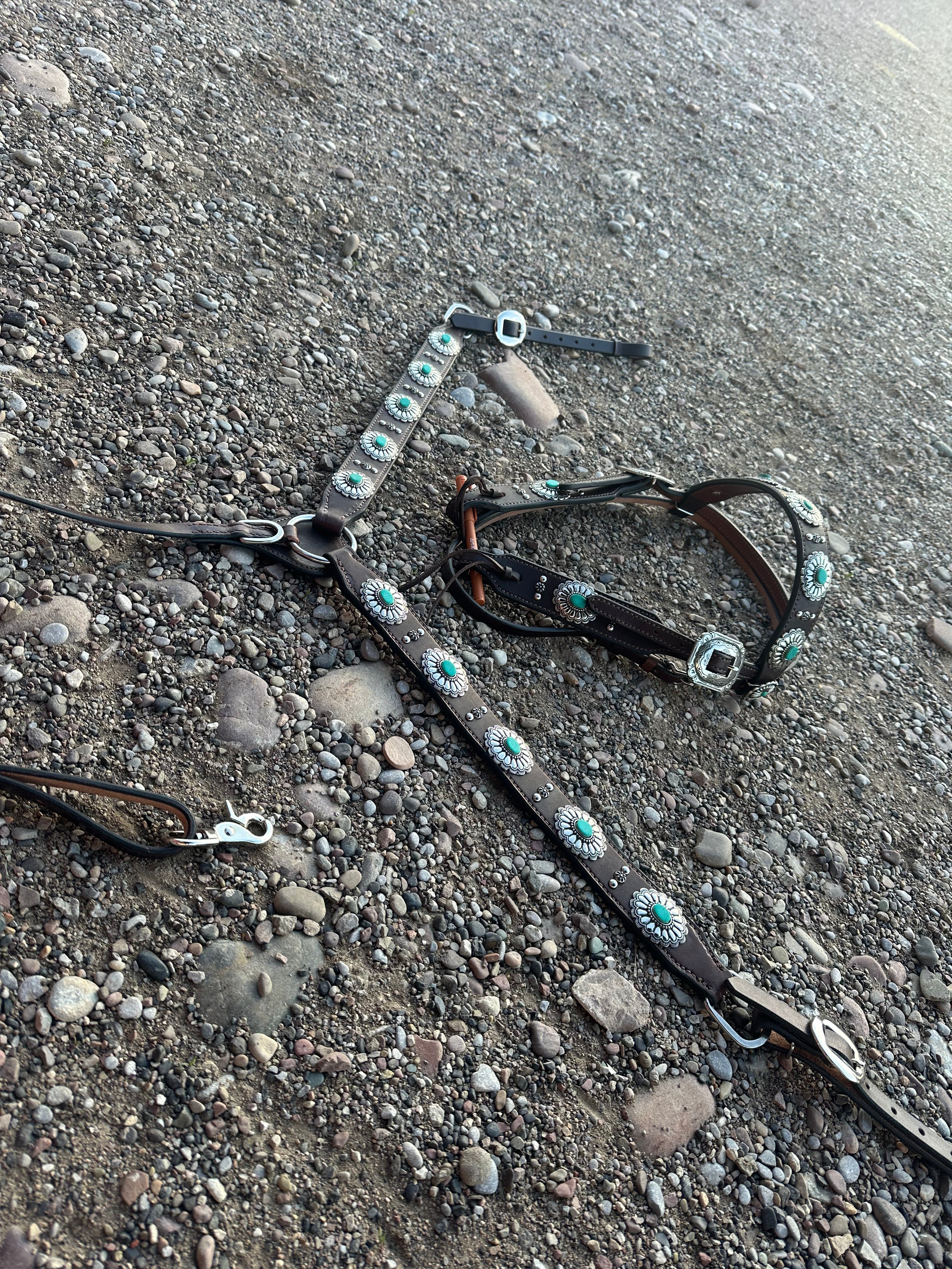Custom accented breast collars & matching Headstalls