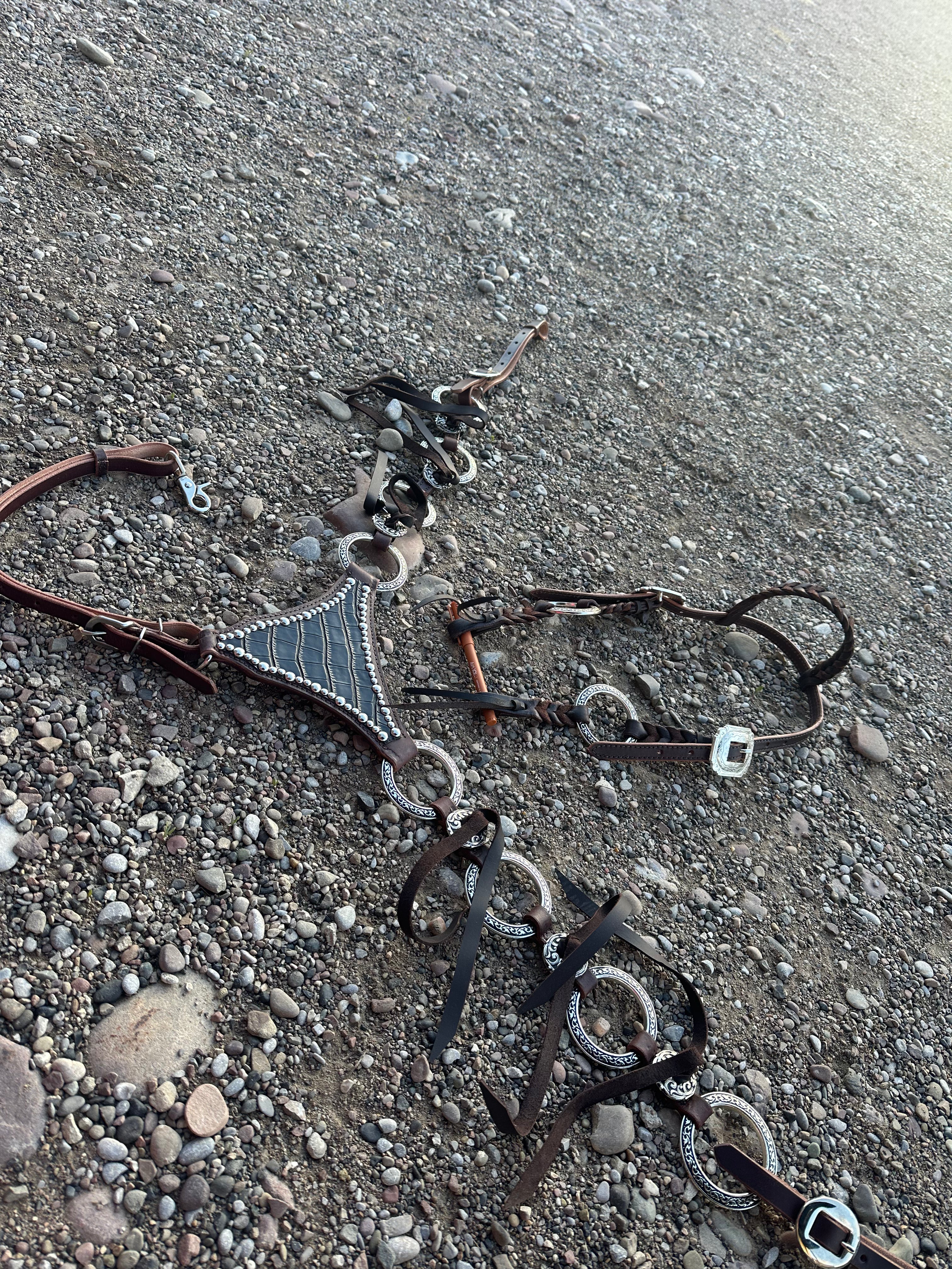 Custom ring breast collar headstall set