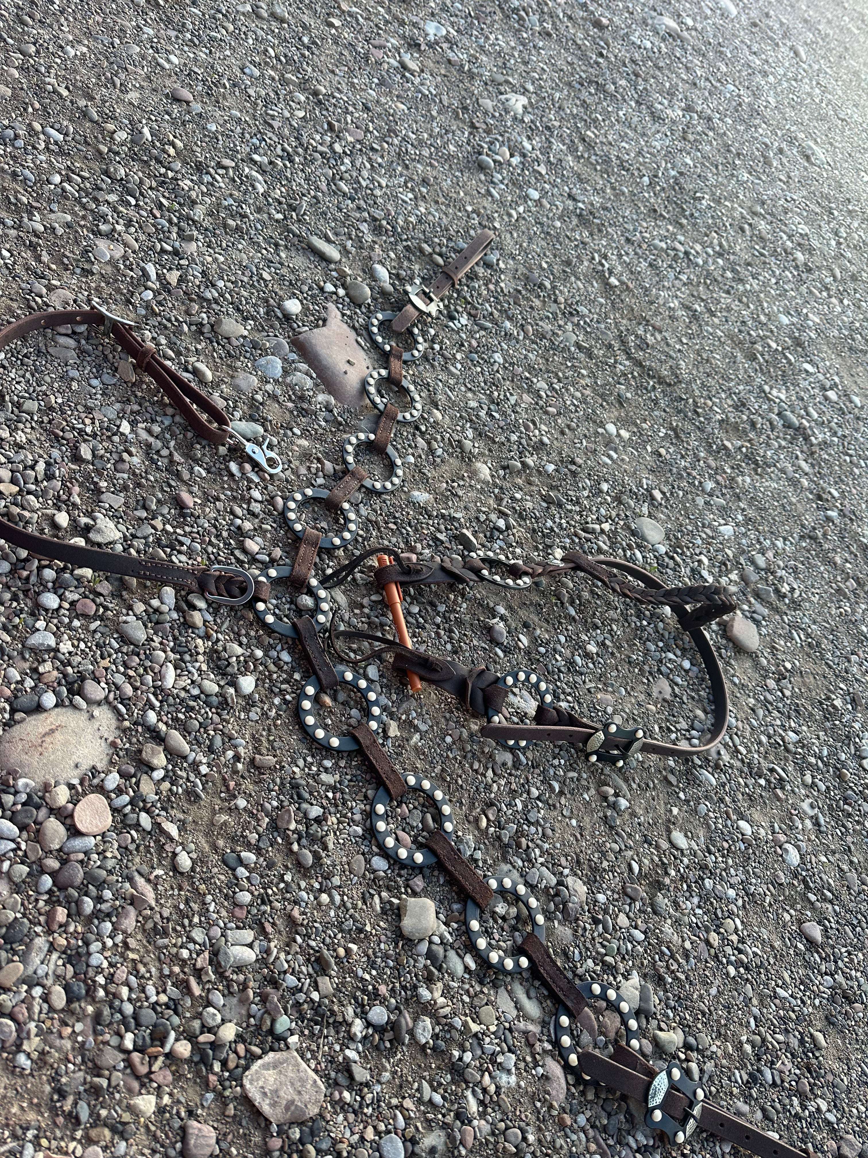 Custom ring breast collar headstall set