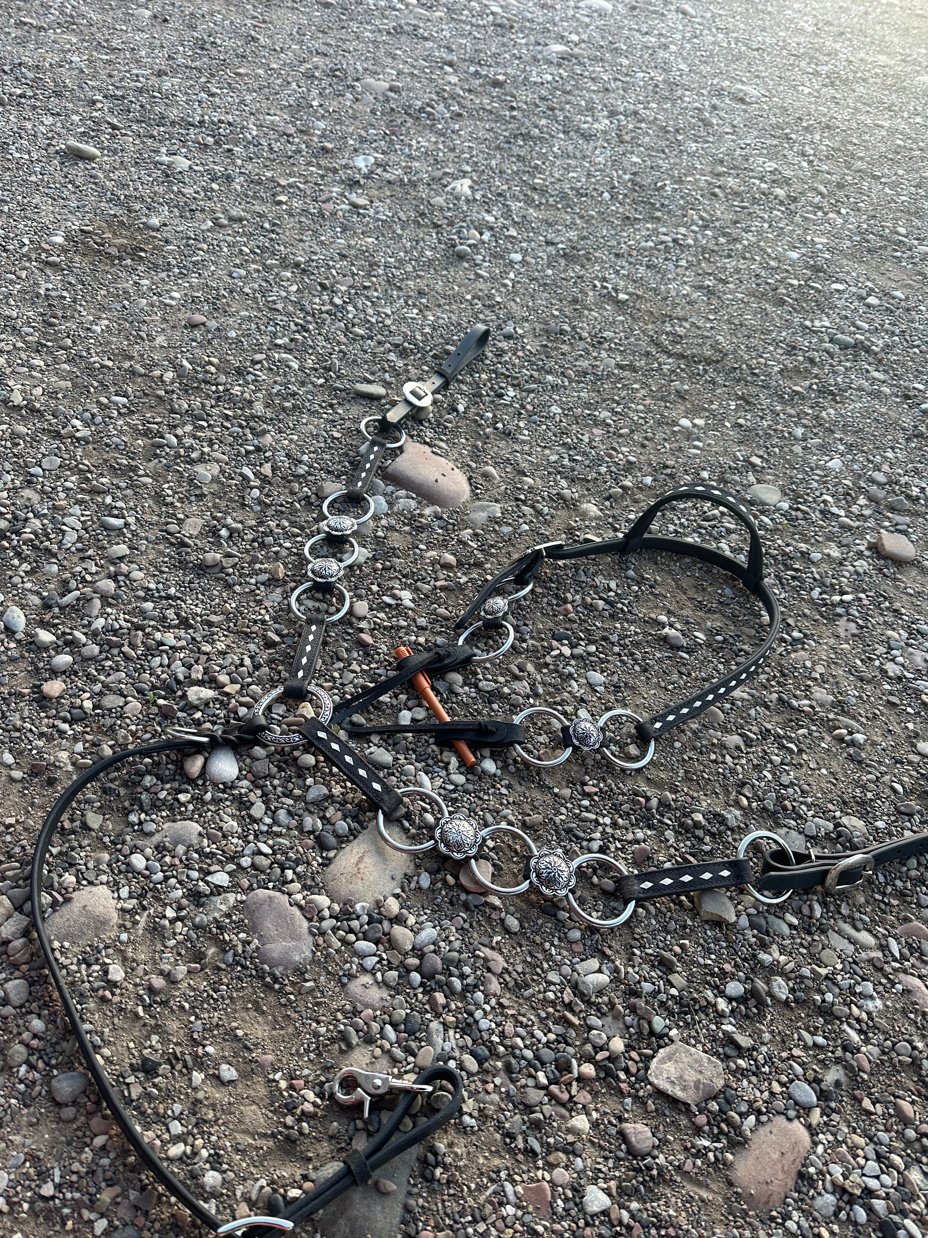 Custom ring breast collar headstall set