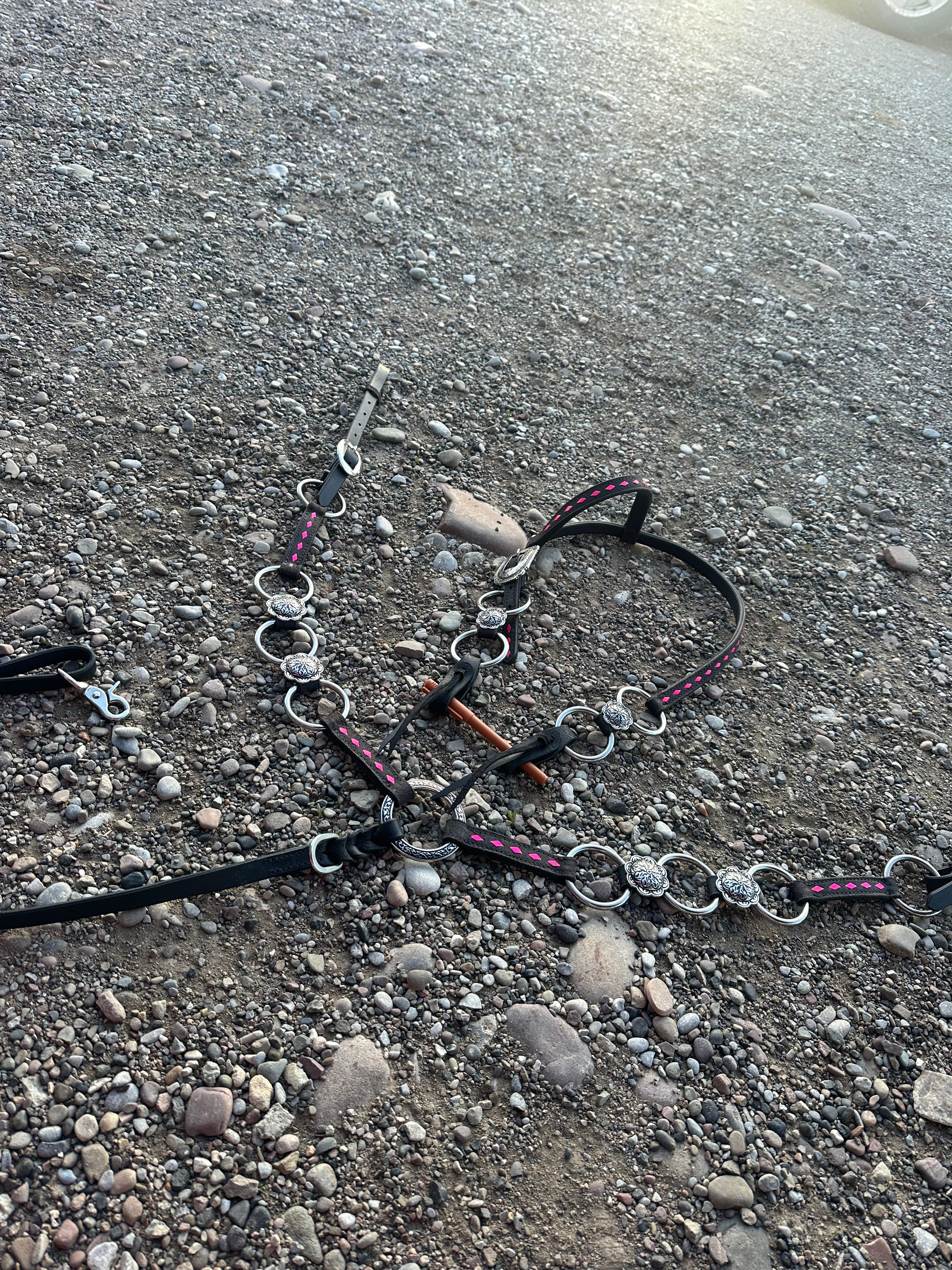 Custom ring breast collar headstall set