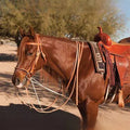 Al Dunning Professionals Choice split rein German martingale