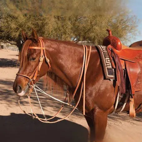 Al Dunning Professionals Choice split rein German martingale