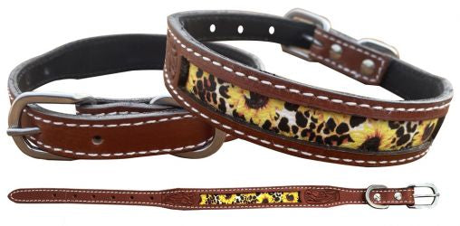 Large leather designer dog collars