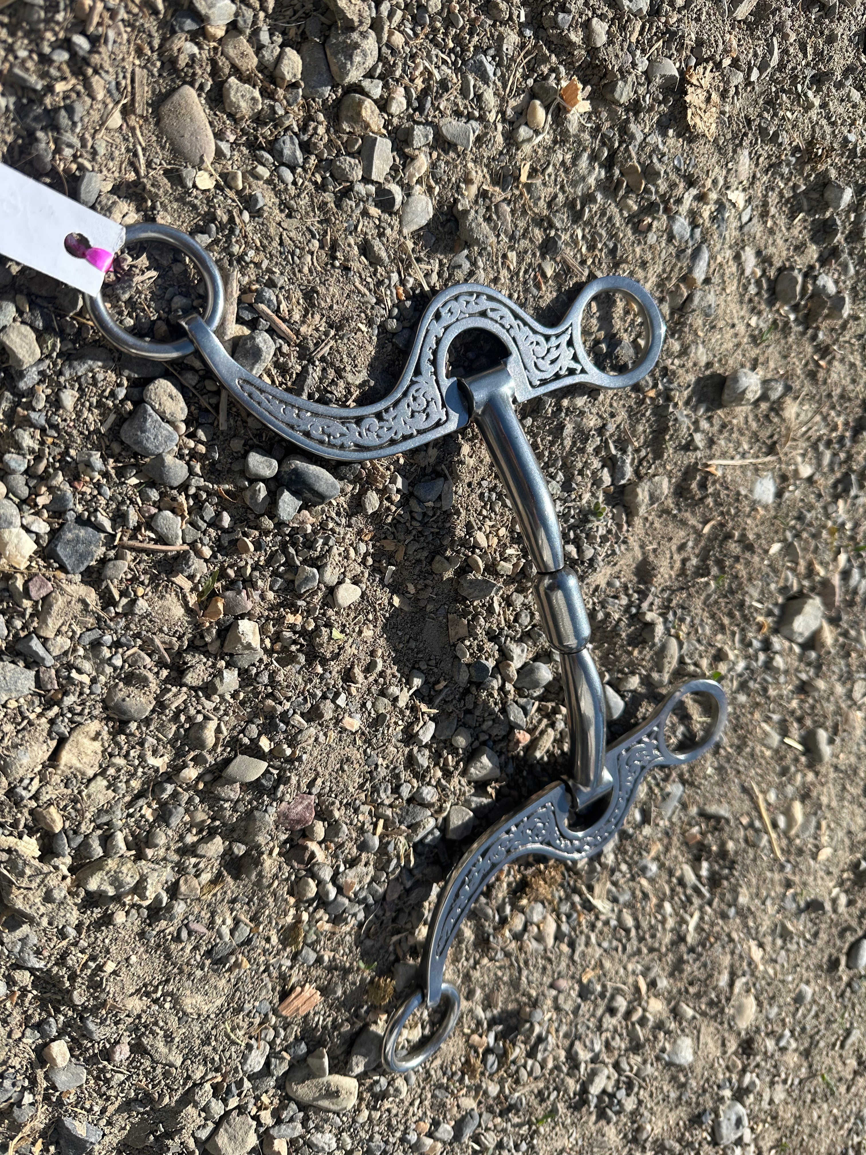 Jeremiah Watt AC-100 with Billy Allen snaffle