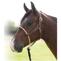 Professionals Choice leather halter with single lariat rope rawhide wrapped halter