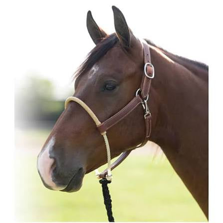 Professionals Choice leather halter with single lariat rope rawhide wrapped halter