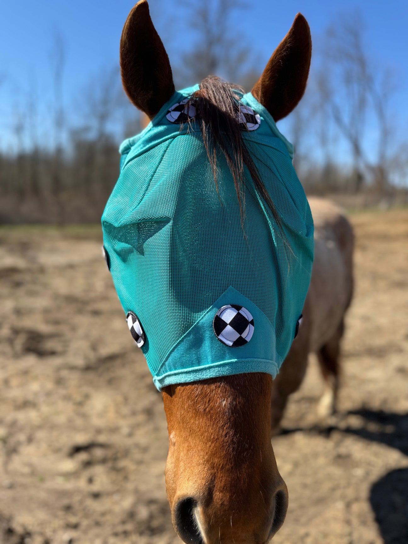 Pretty polos by Jessie magnetic fly mask