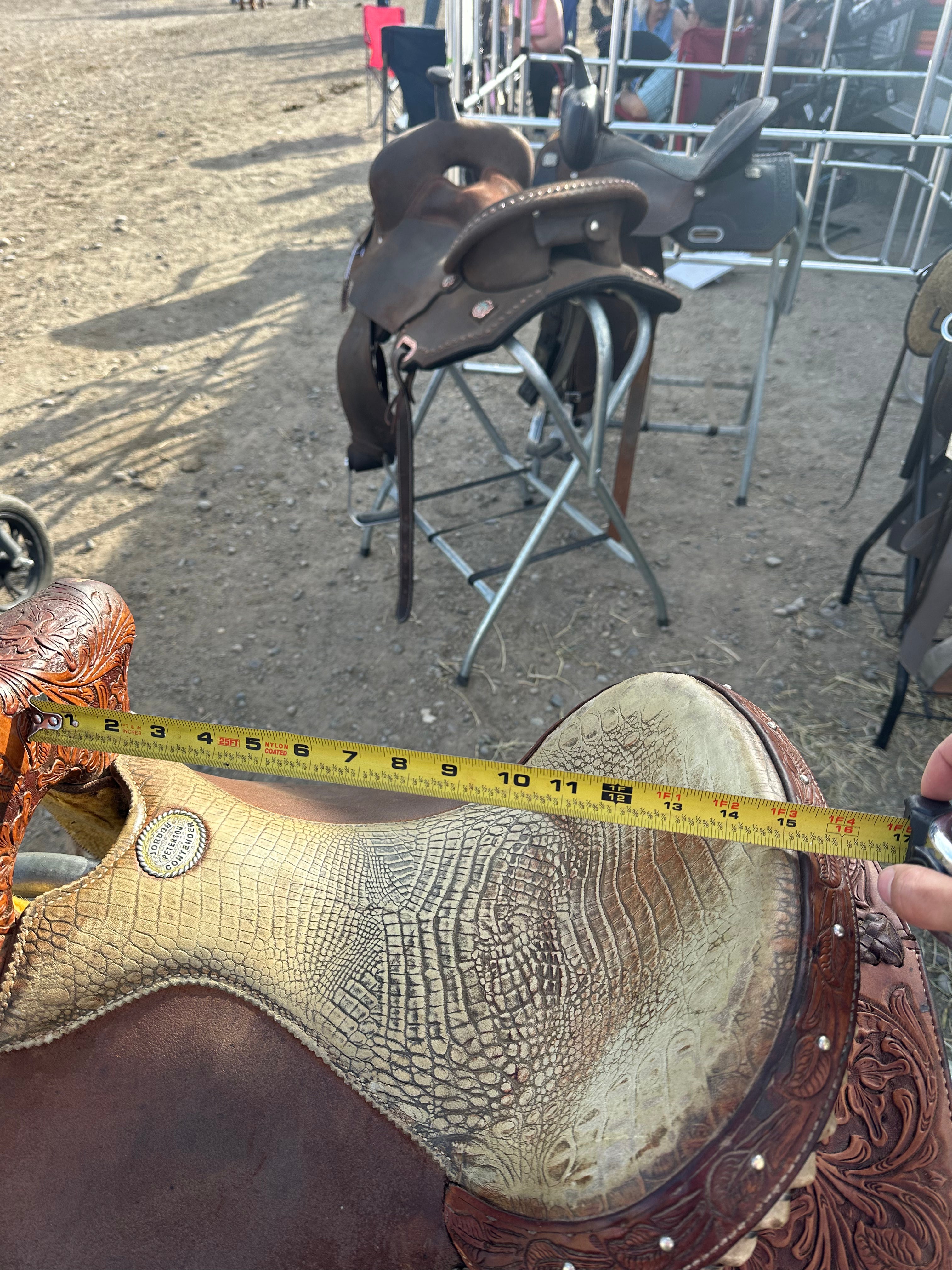 14.5” Jordan Peterson by Shiloh