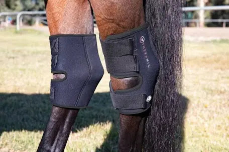Professionals Choice theramic hock boots Large