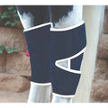 Professionals Choice magnetic hock boots