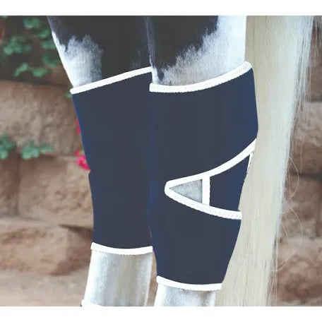 Professionals Choice magnetic hock boots