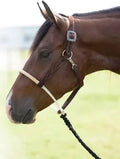 Professionals Choice double rawhide nose leather halter with mule tape lead