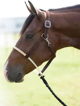 Professionals Choice double rawhide nose leather halter with mule tape lead