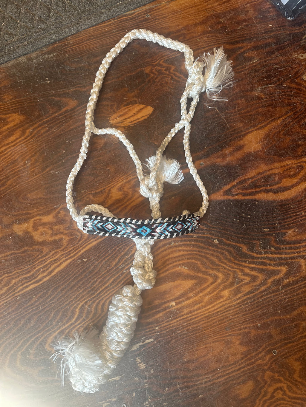 Designer nose band mule tape halter