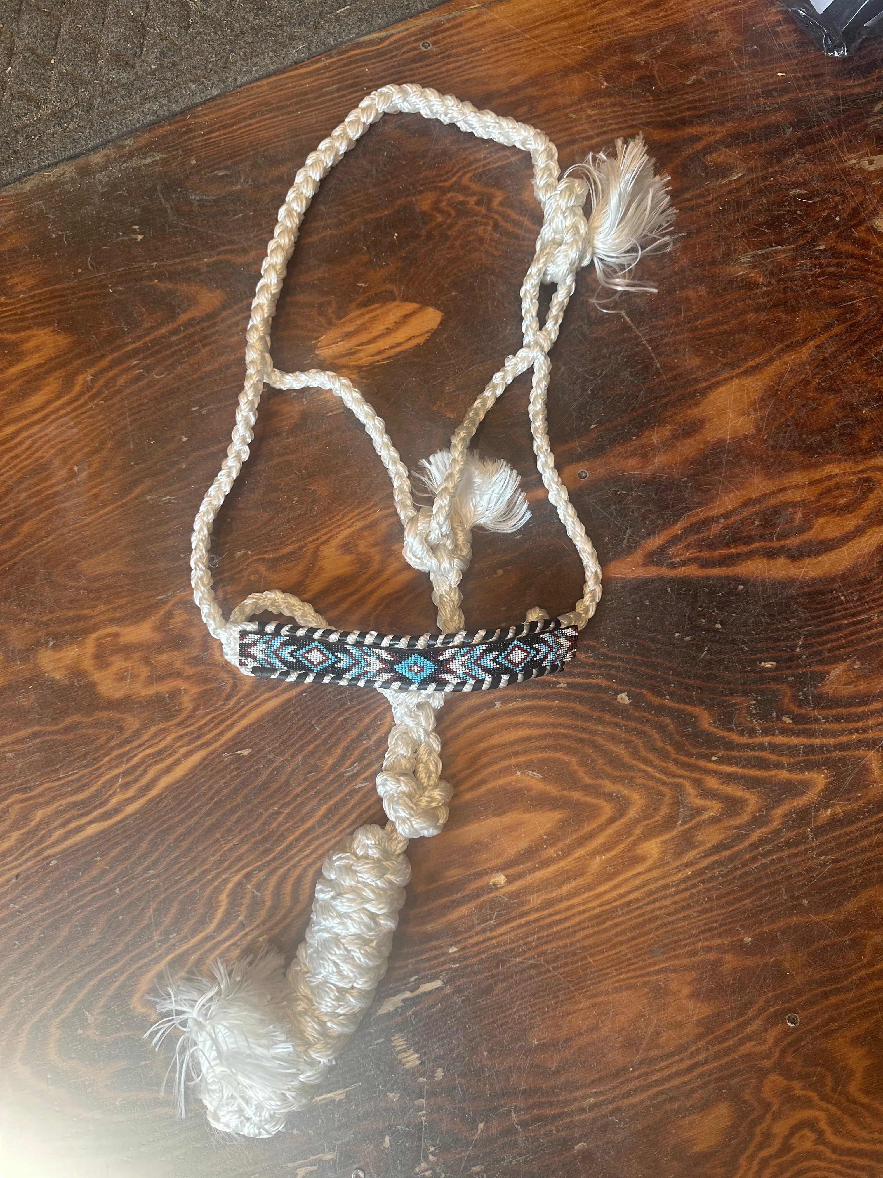 Designer nose band mule tape halter