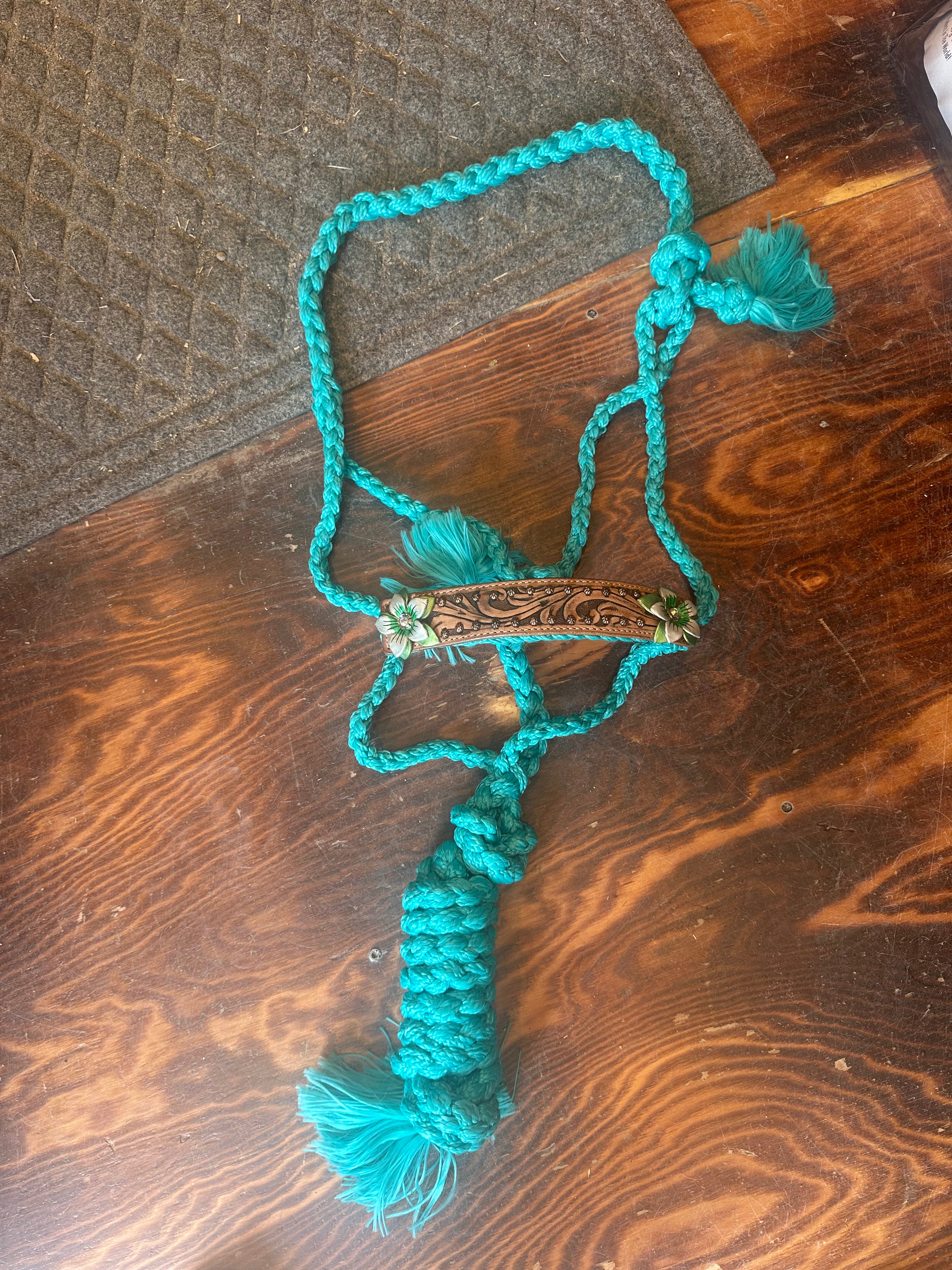 Designer nose band mule tape halter