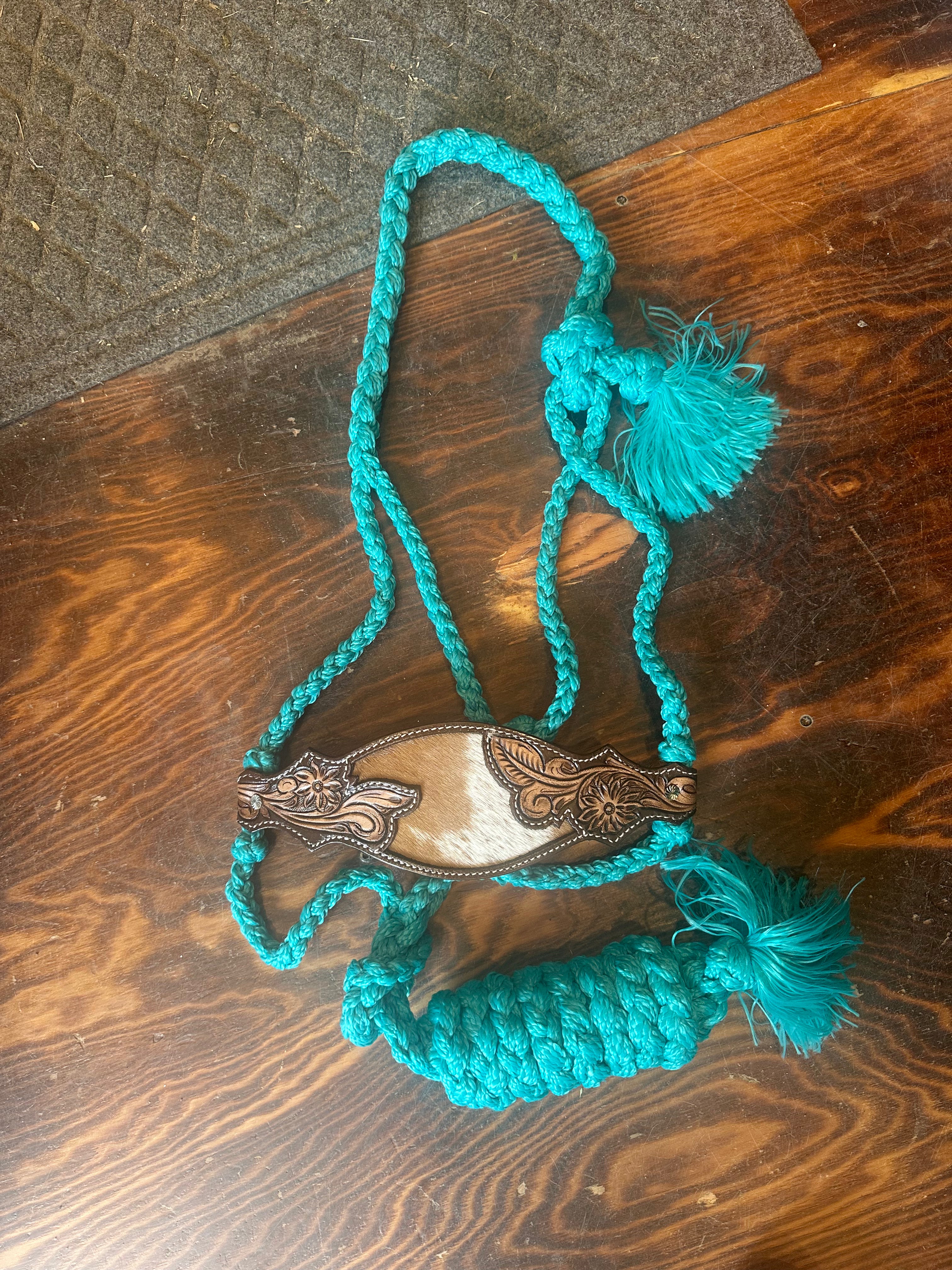 Designer nose band mule tape halter