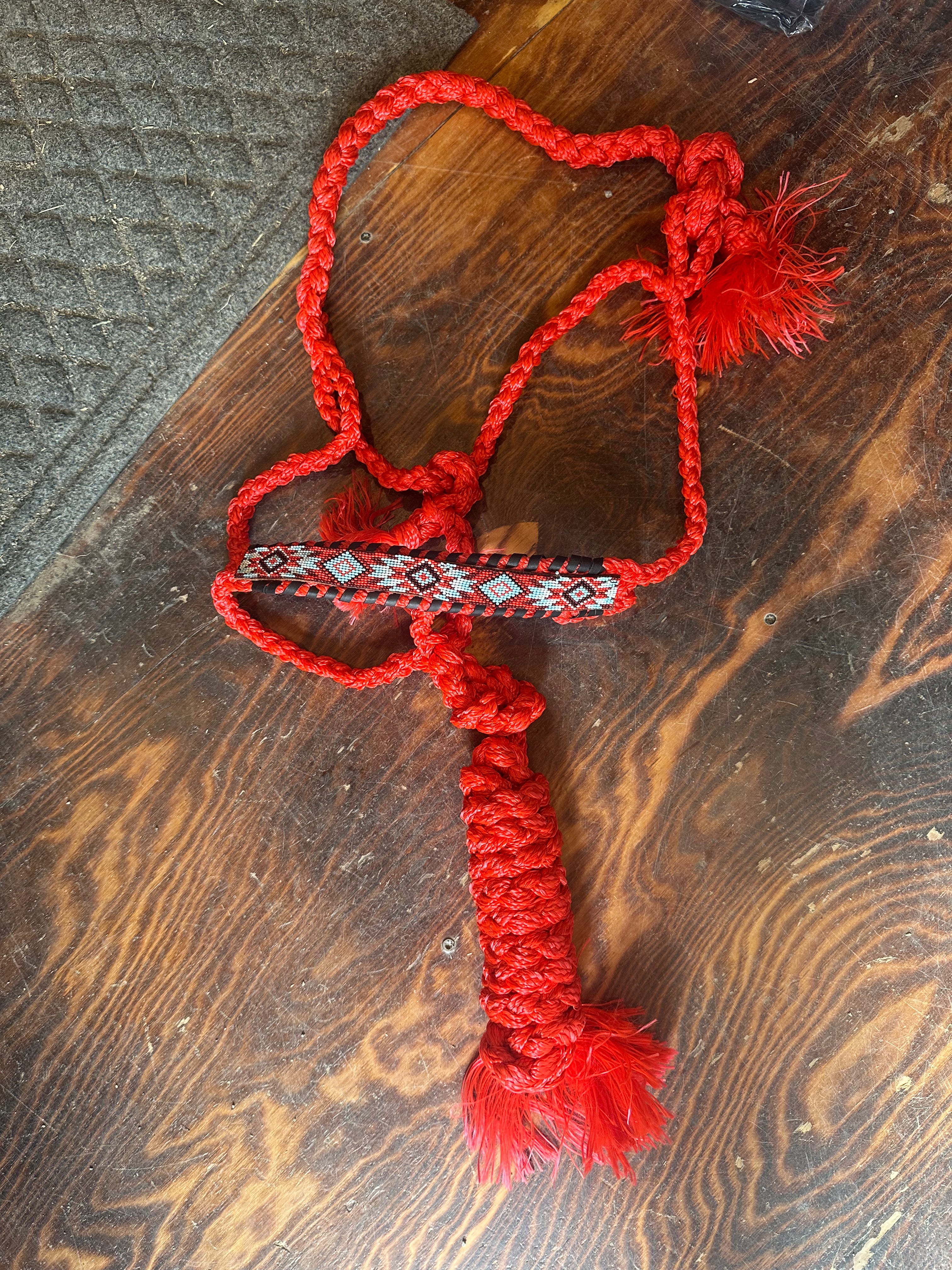 Designer mule tape halter with lead rope