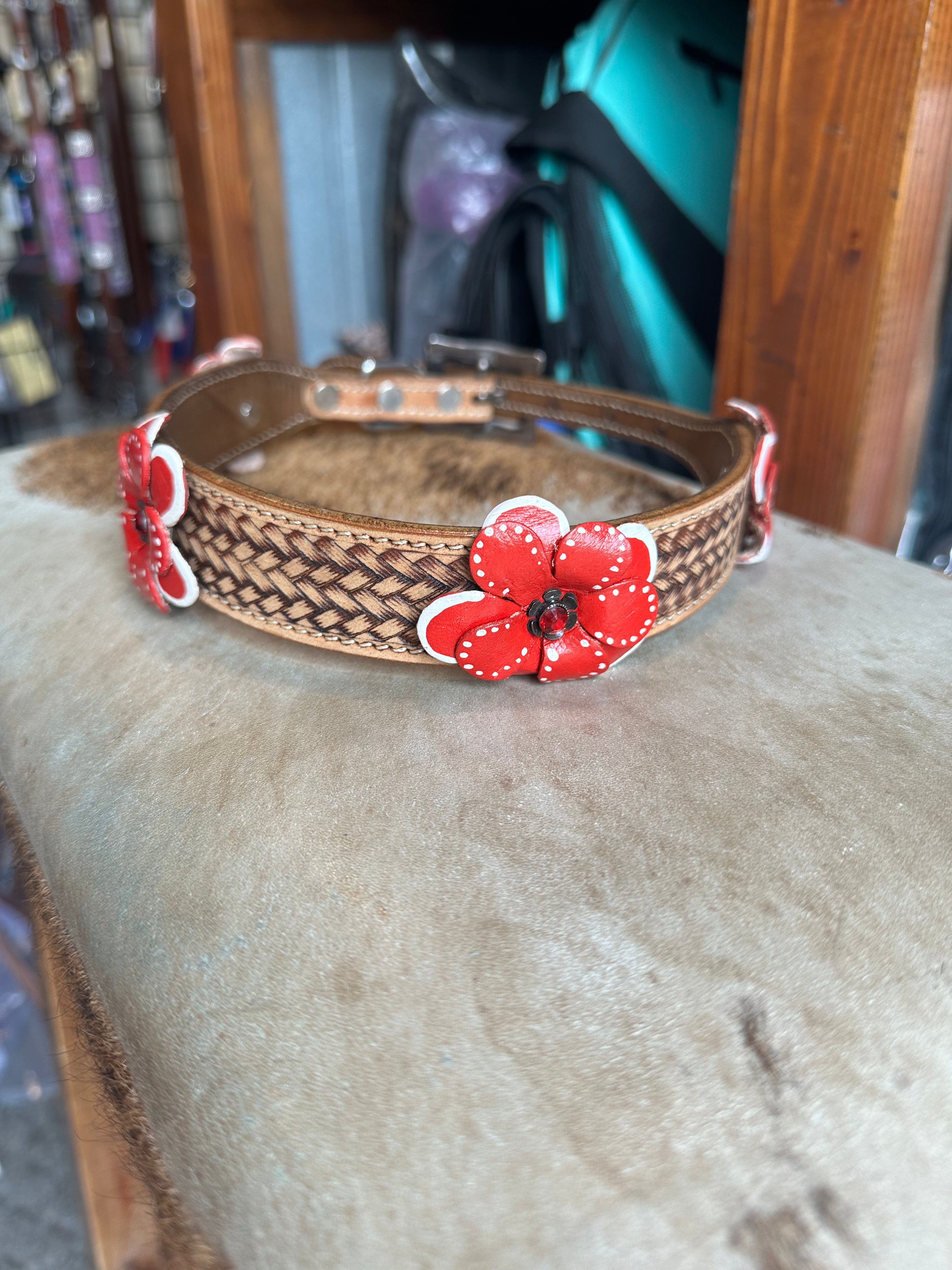Designer dog collars large