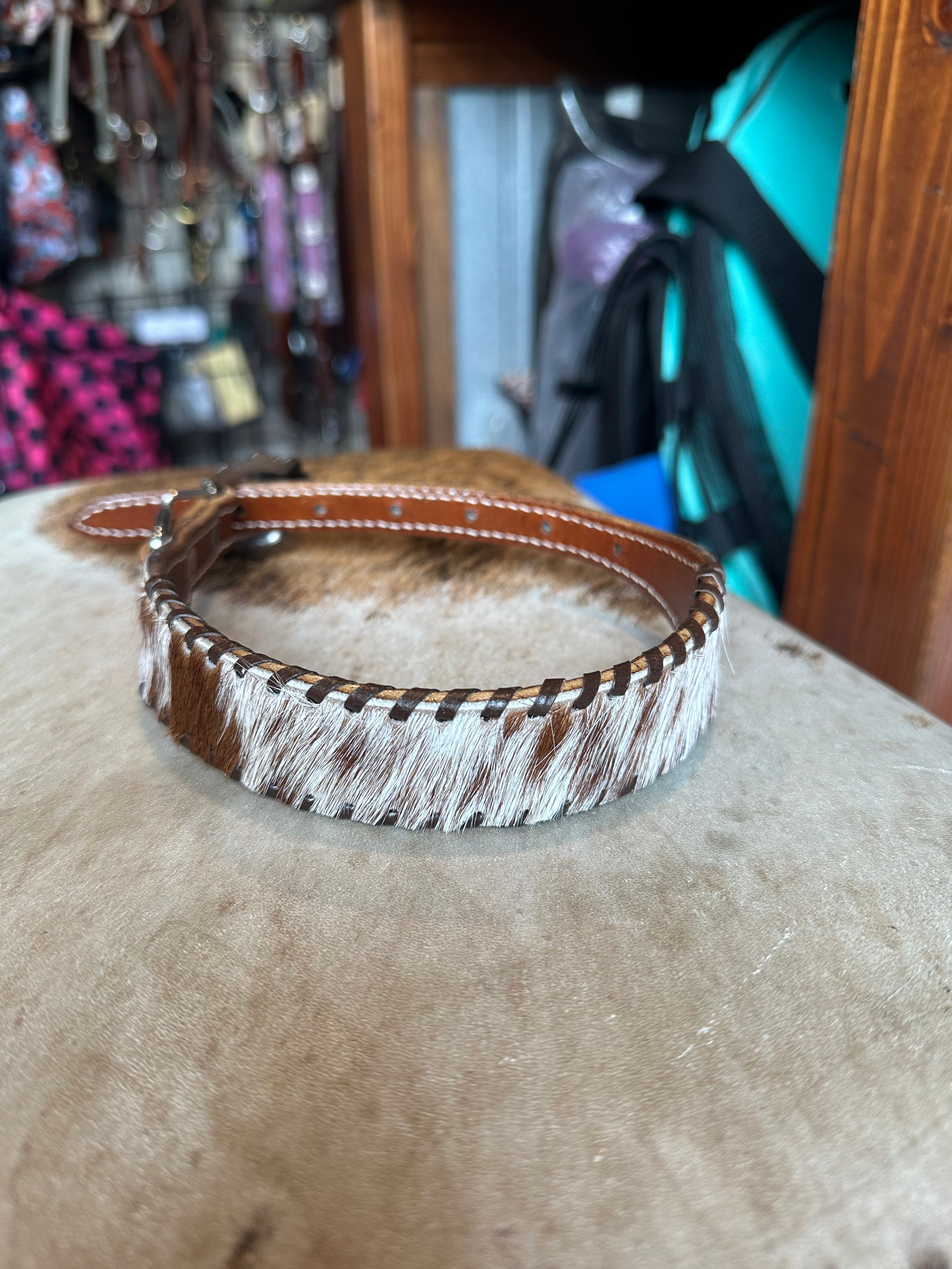Medium dog collars