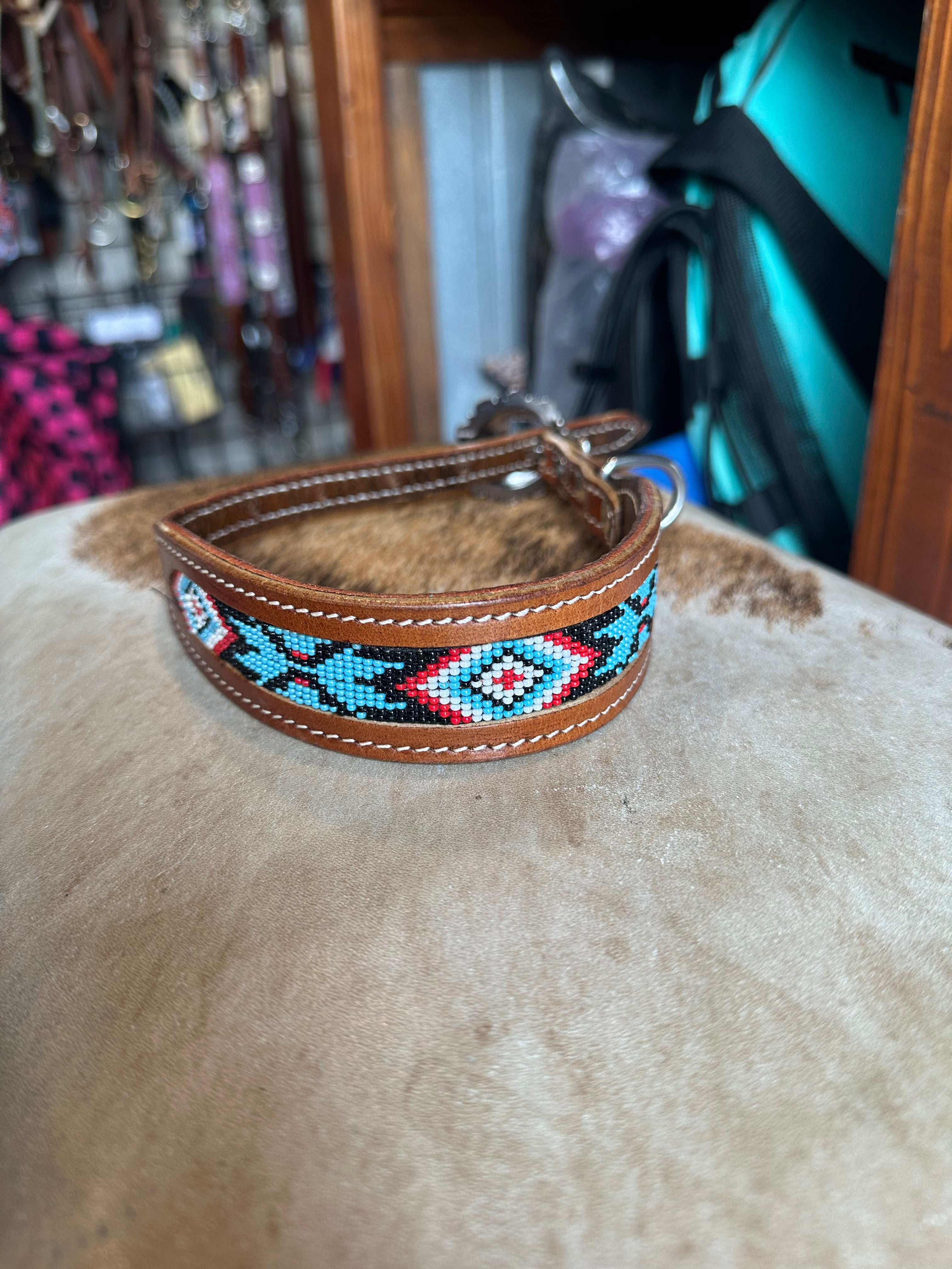 Medium dog collars