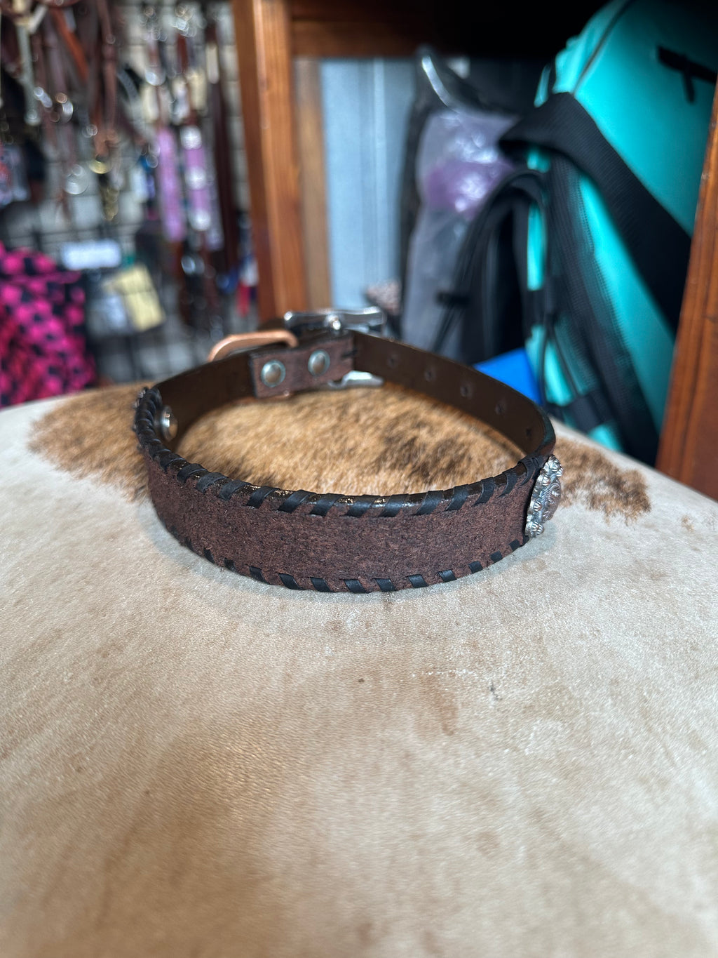 Medium dog collars