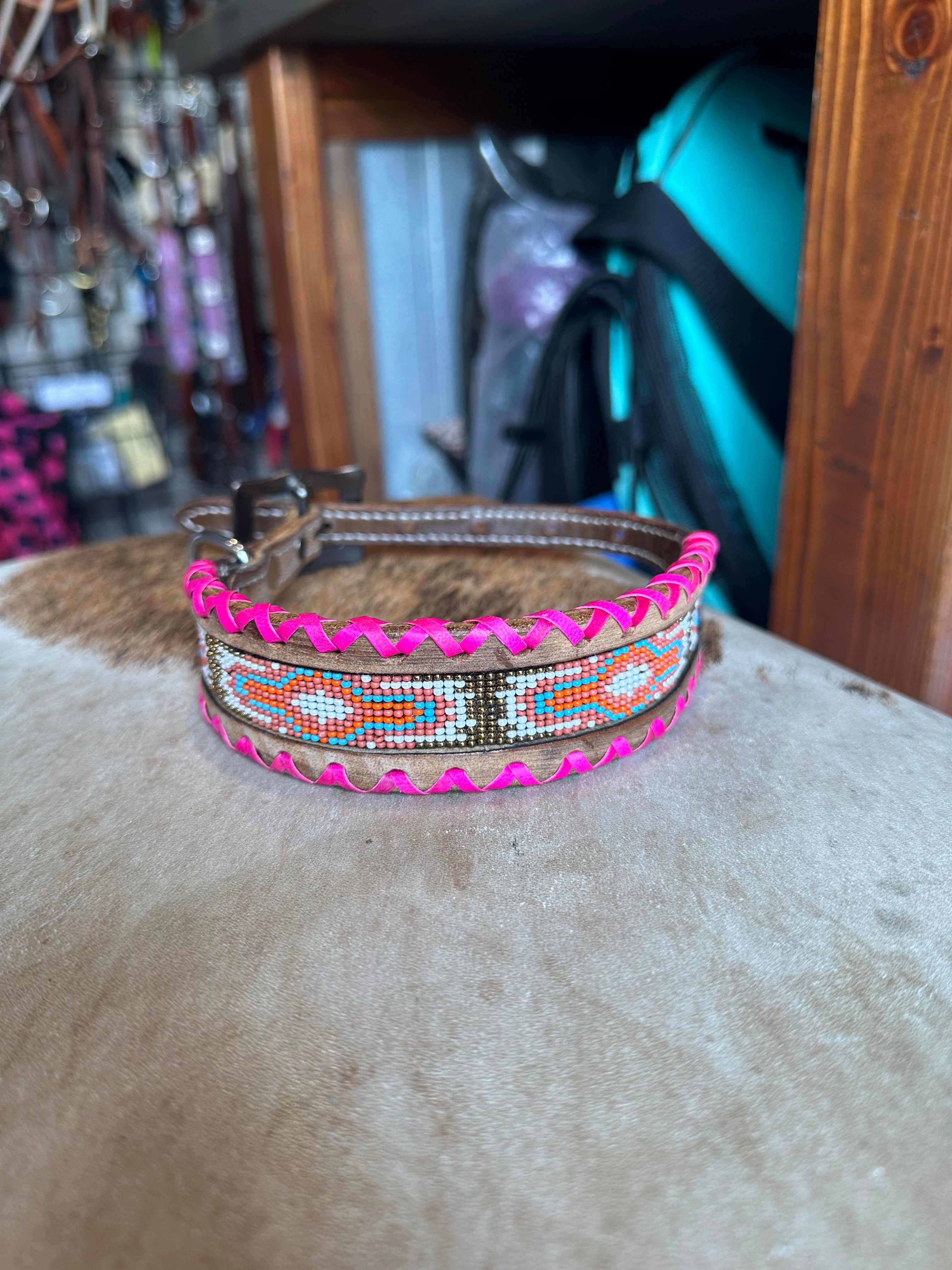 Medium dog collars