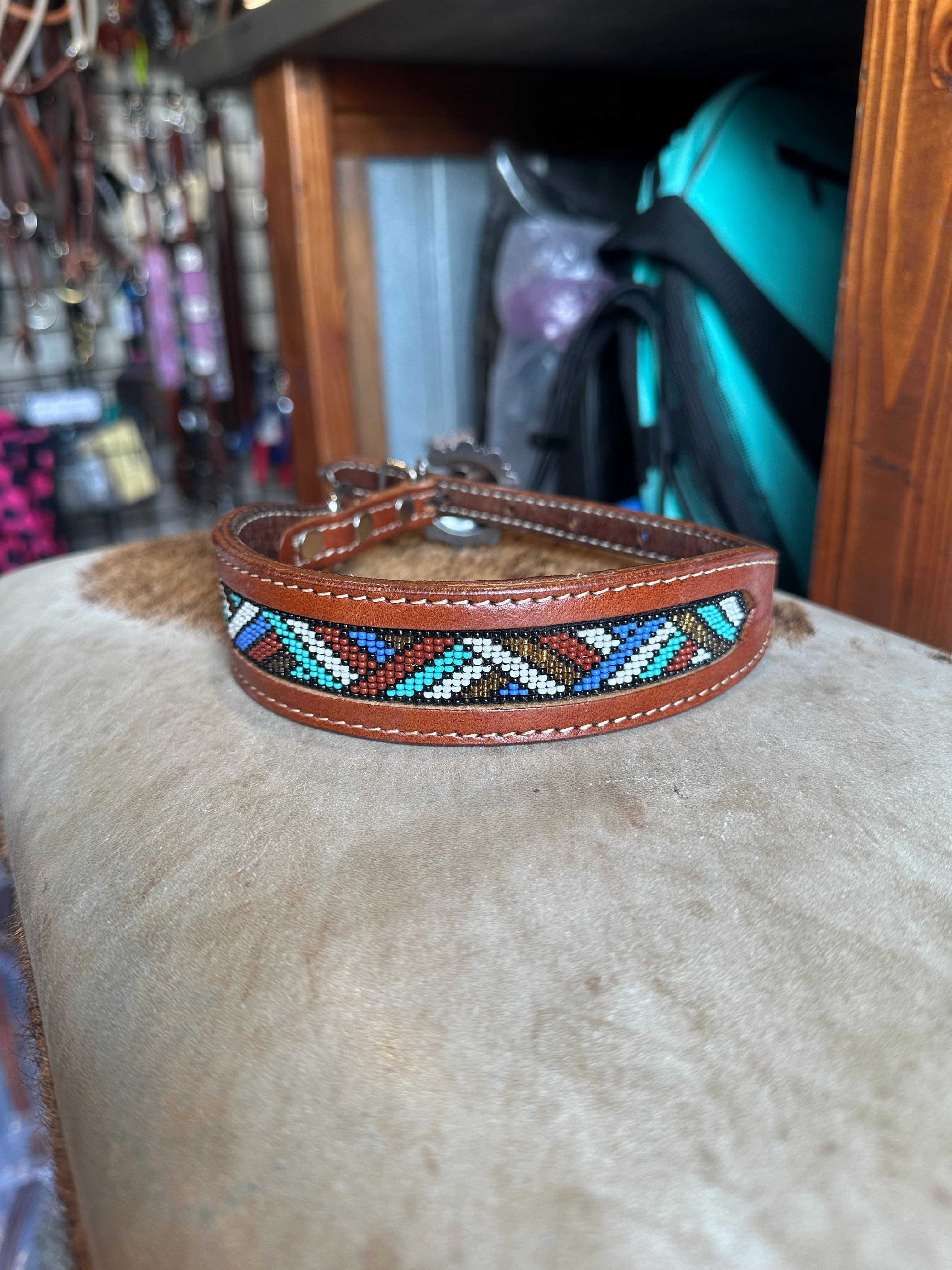 Medium dog collars