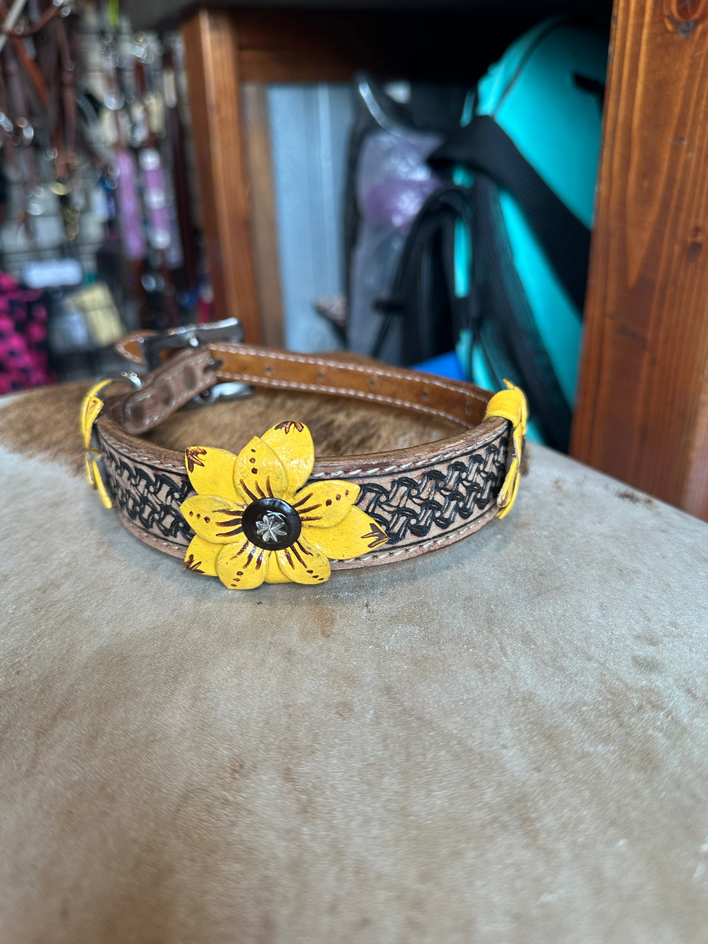 Medium dog collars