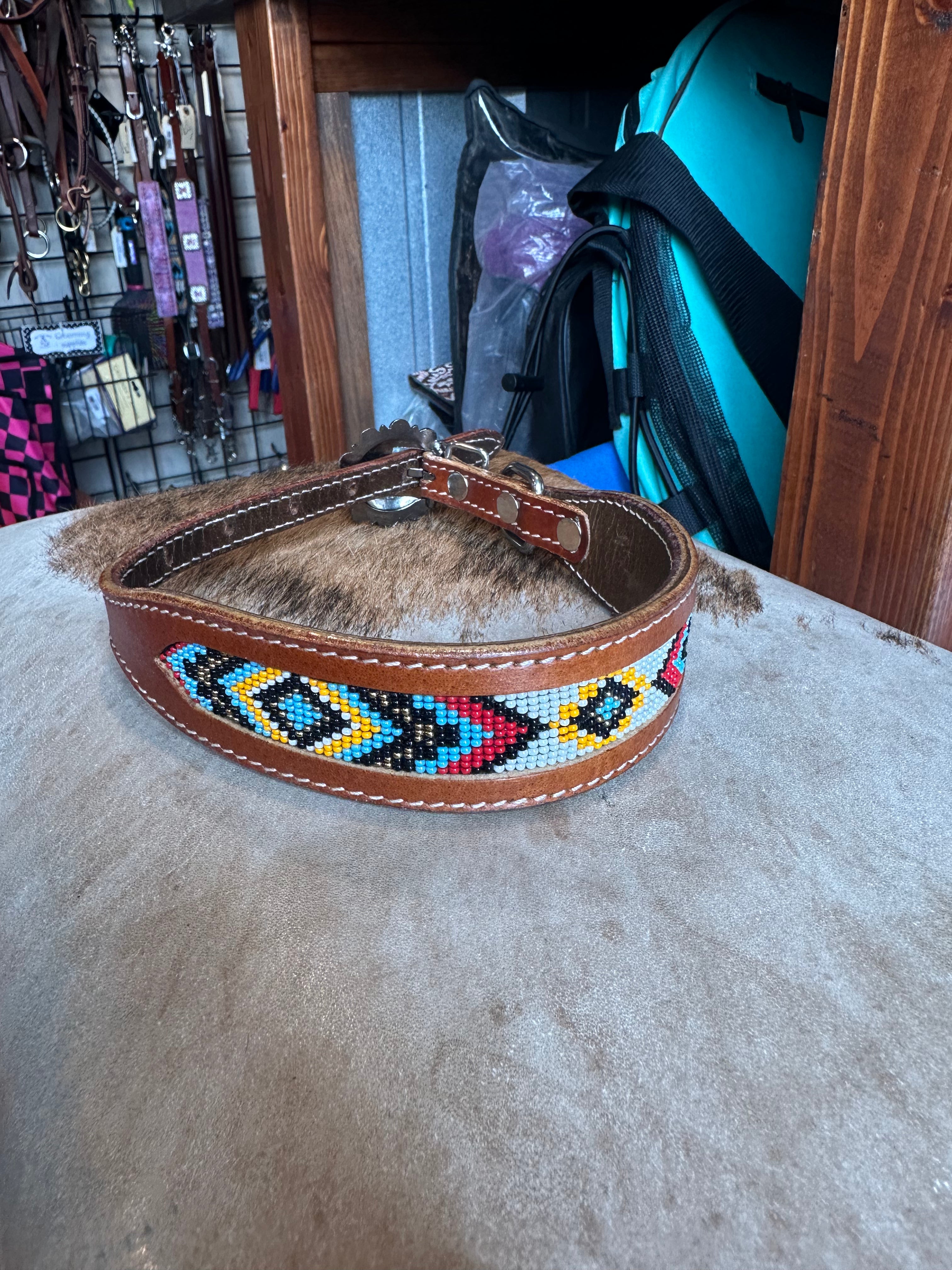 Medium dog collars