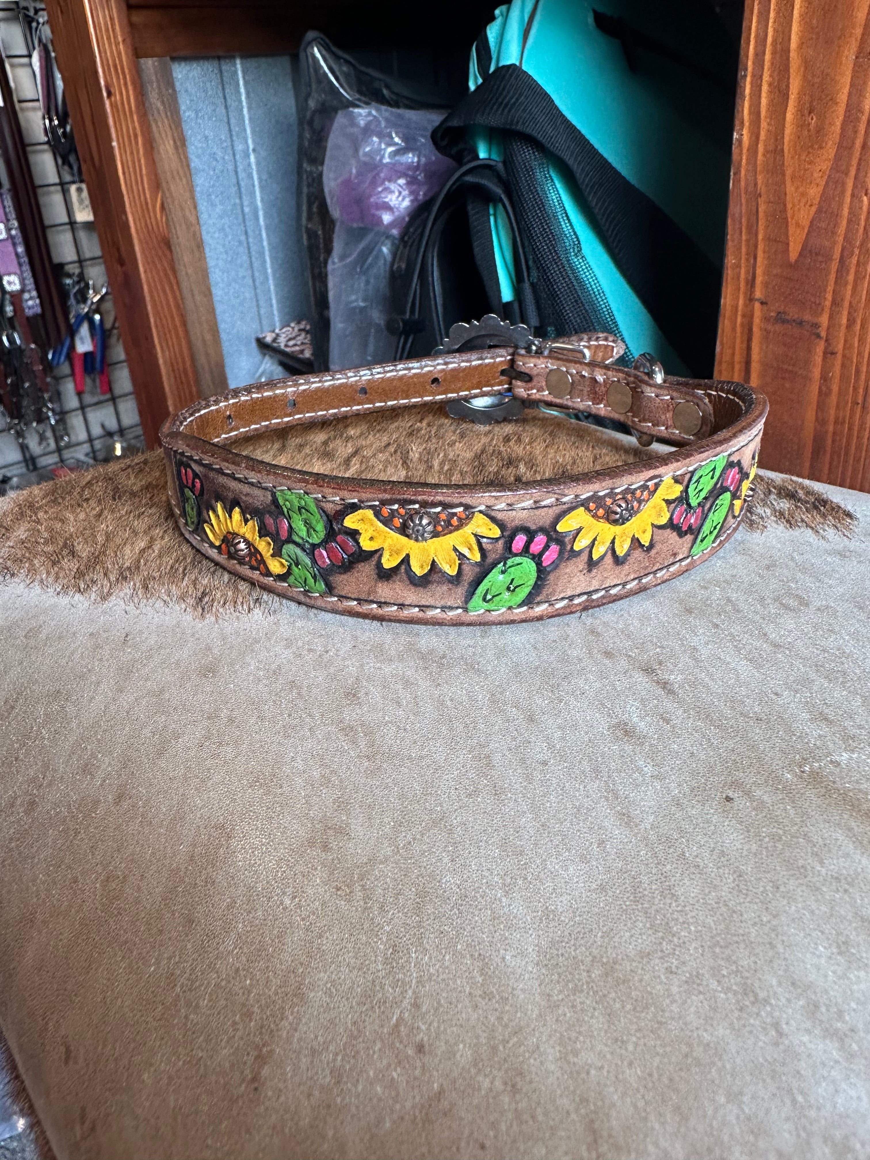 Medium dog collars