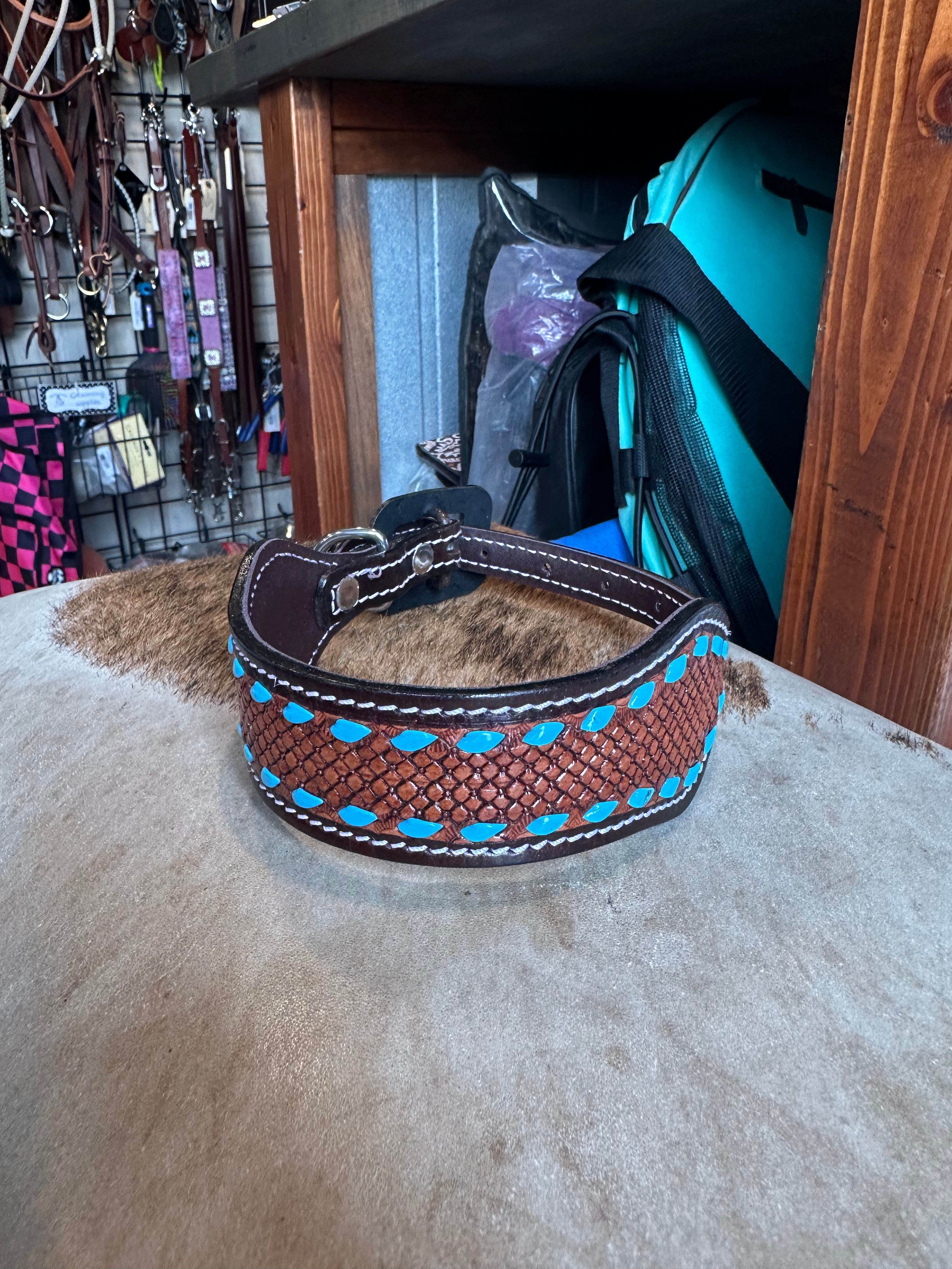 Medium dog collars