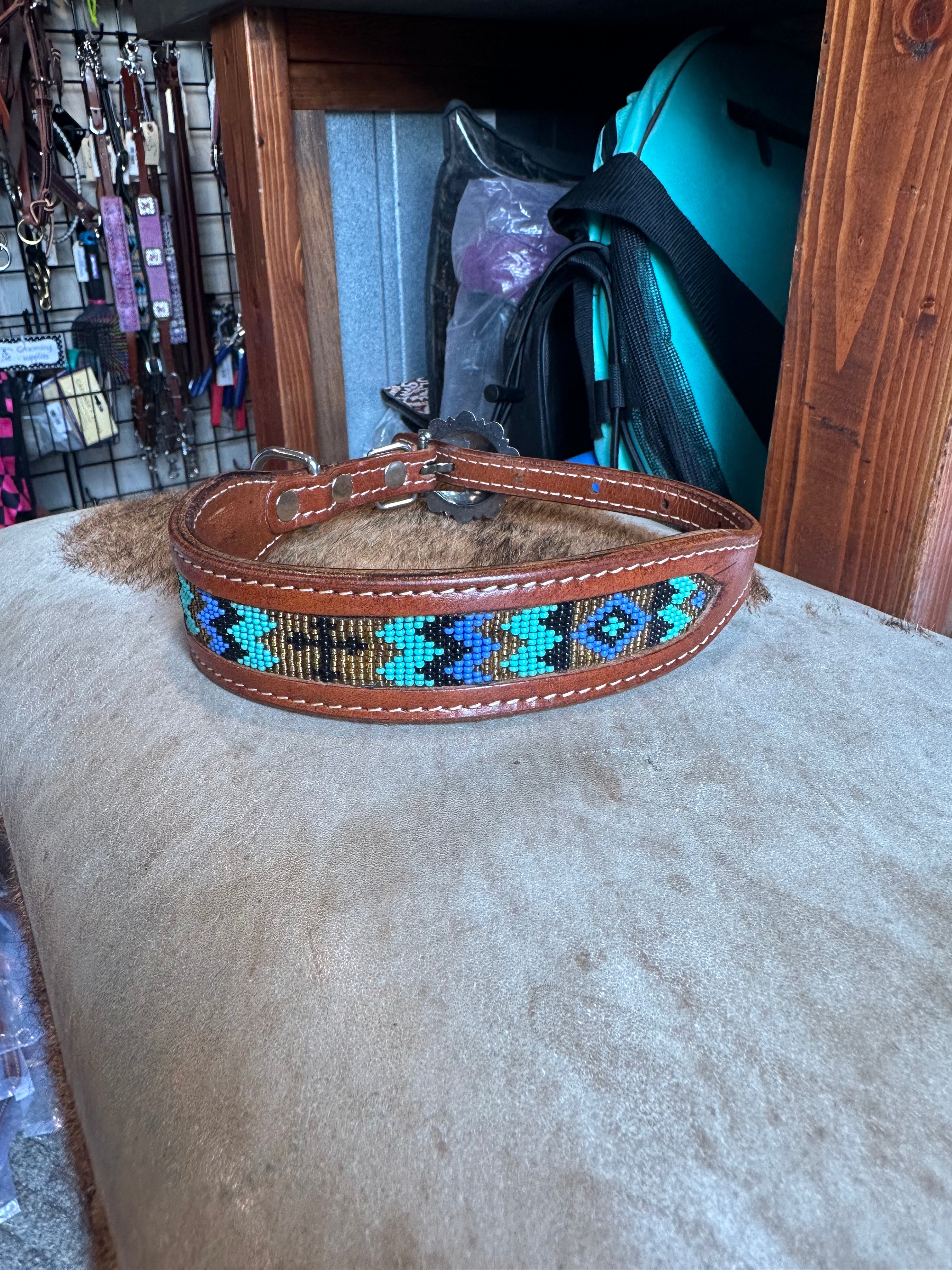 Medium dog collars