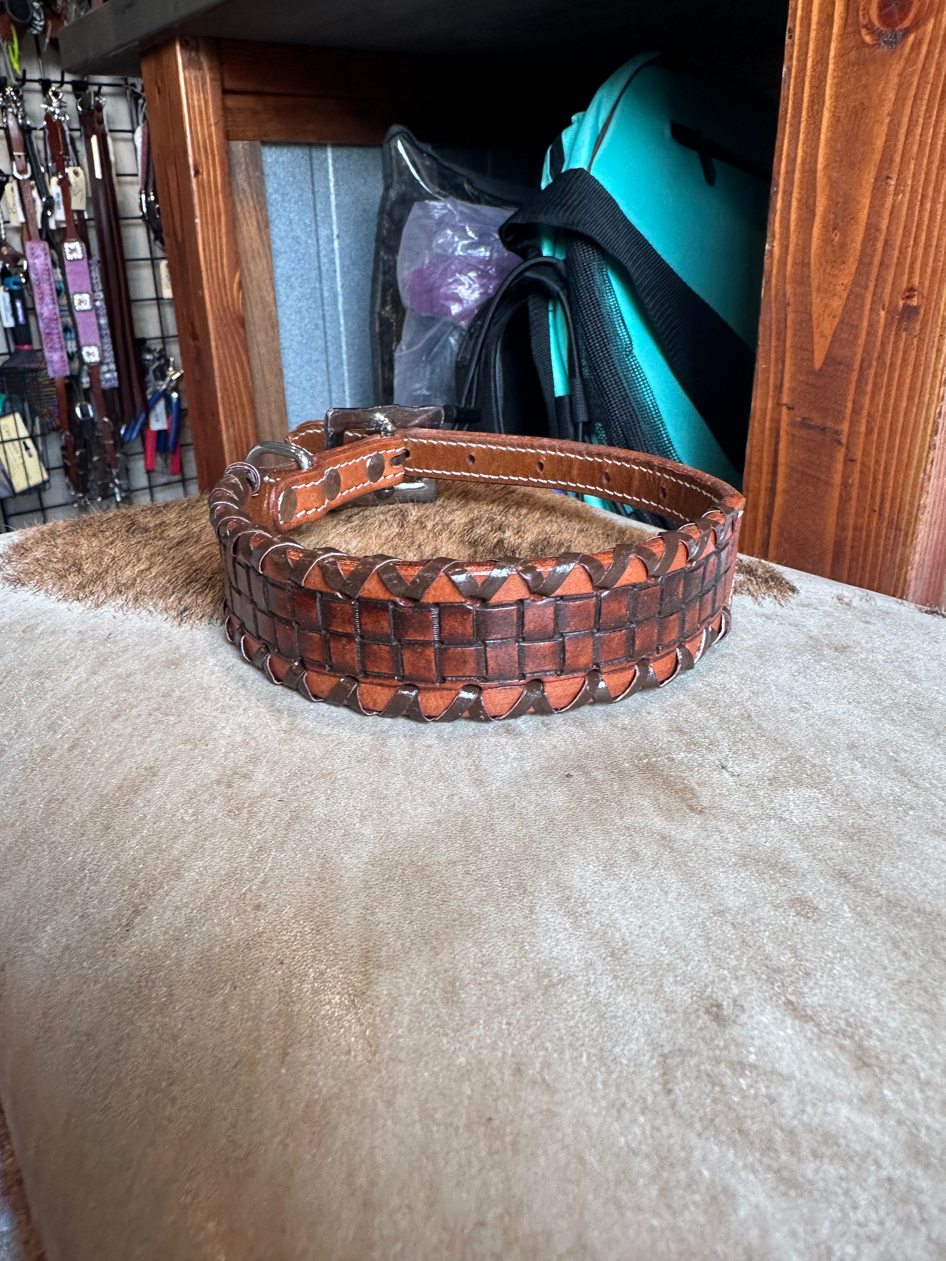 Medium dog collars
