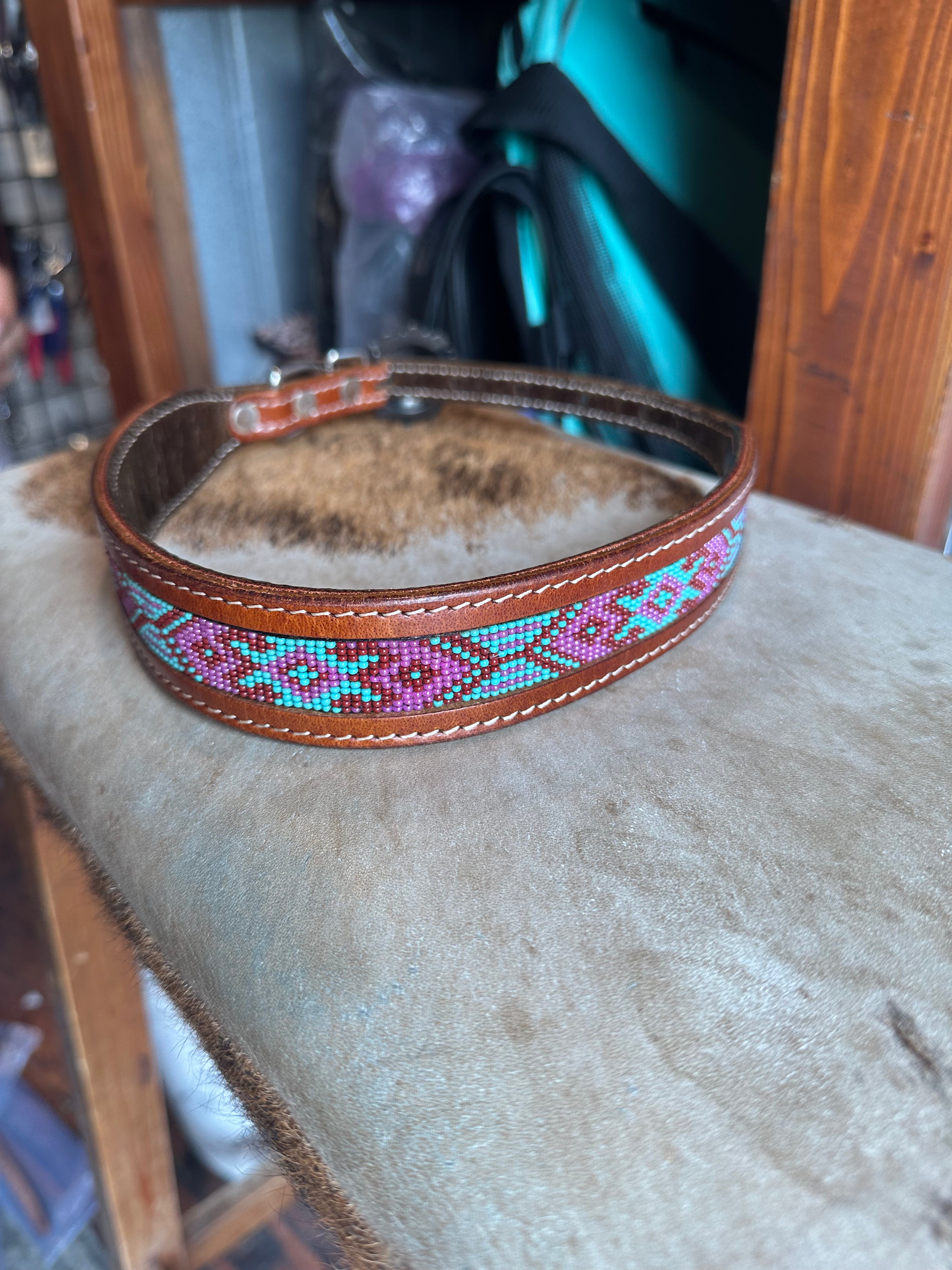 Designer dog collars large