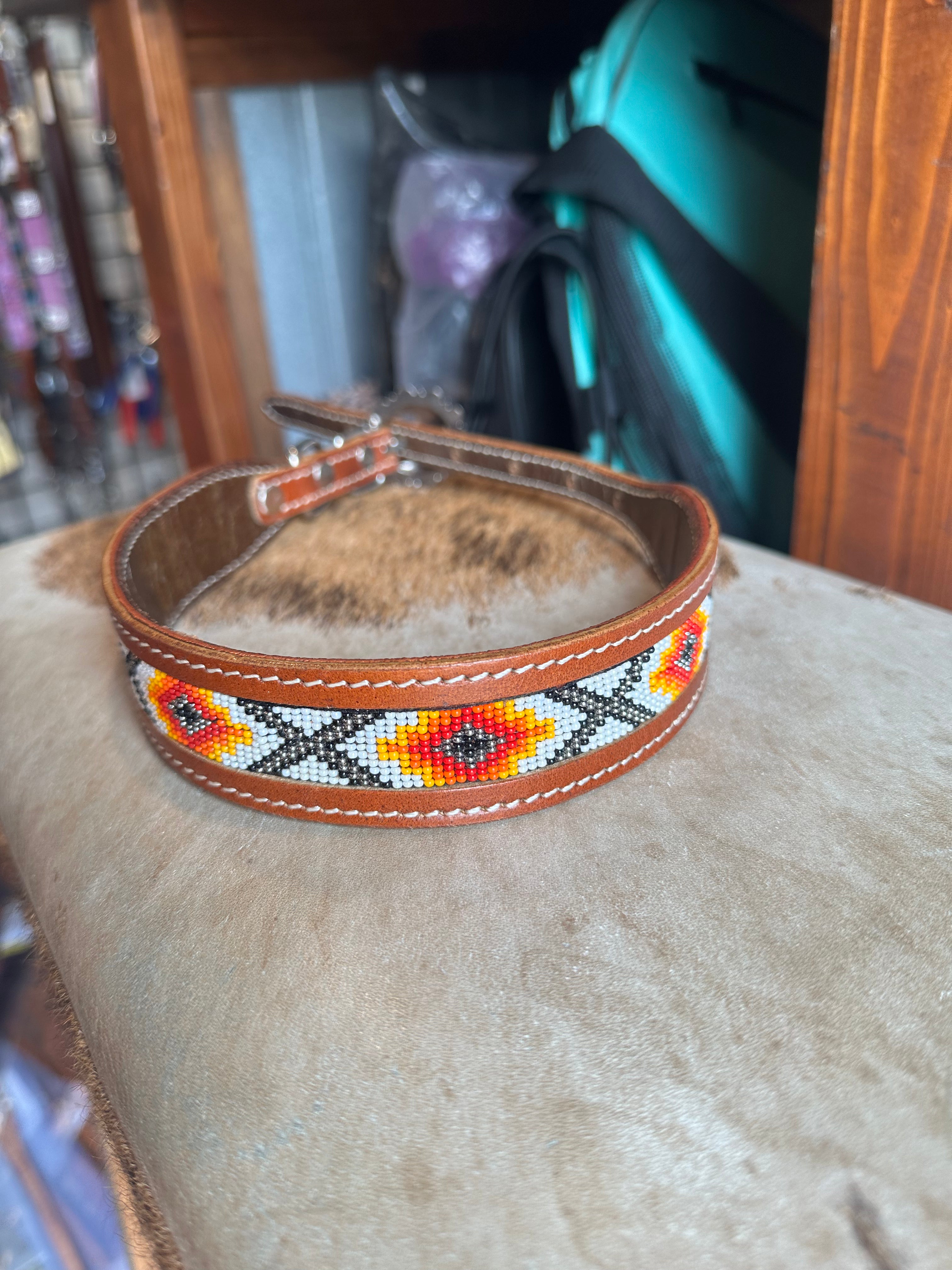 Designer dog collars large