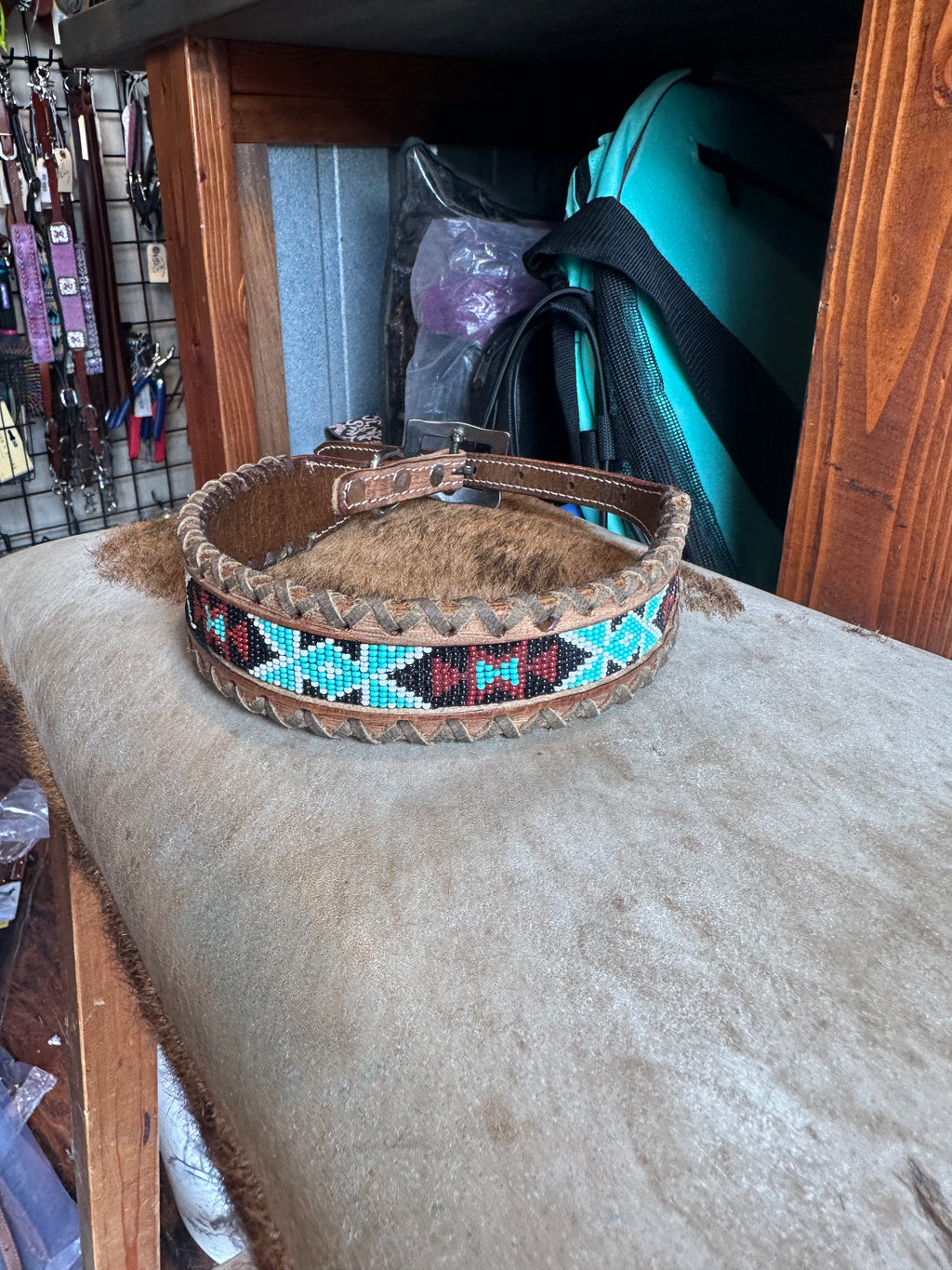 Designer dog collars large
