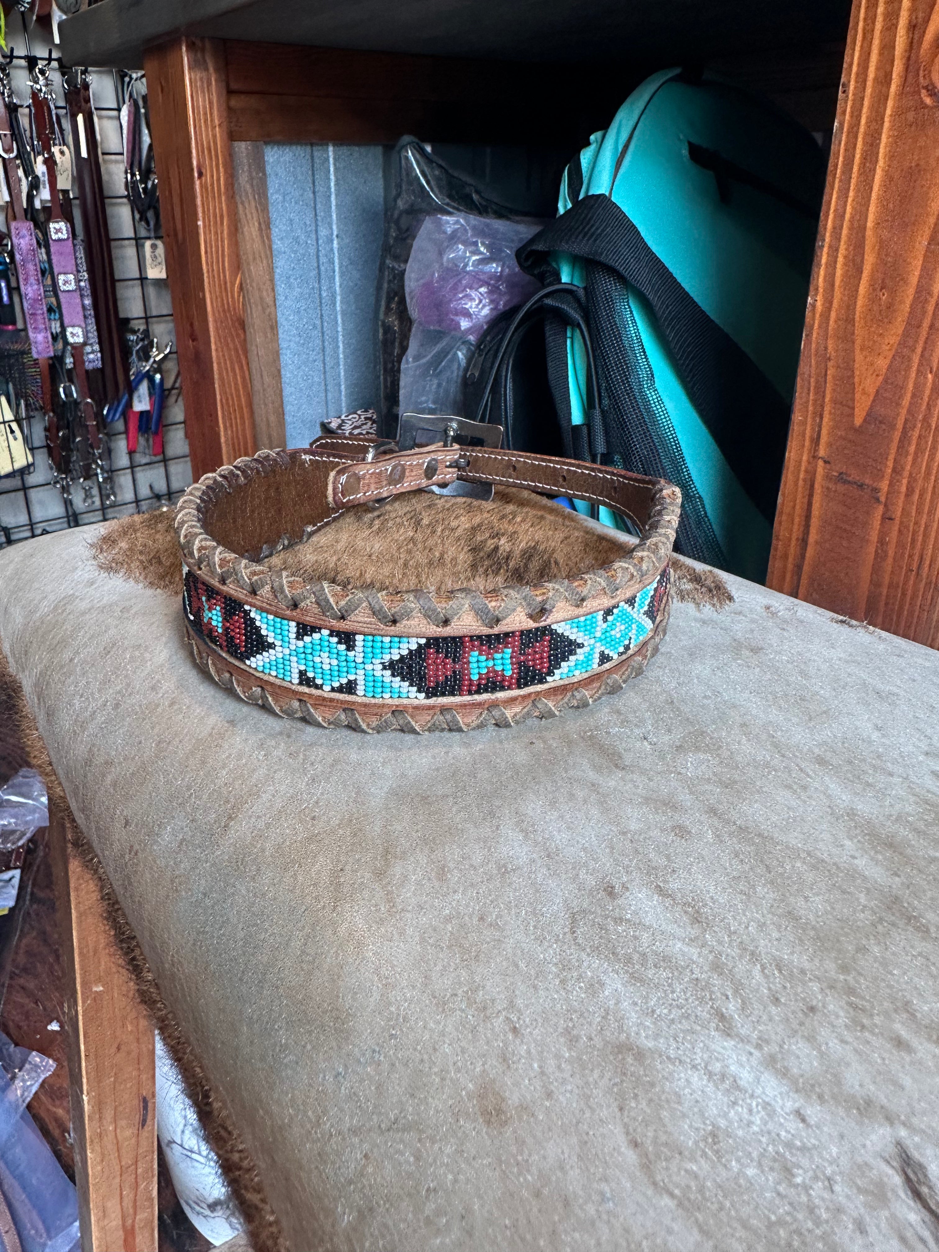 Designer dog collars large
