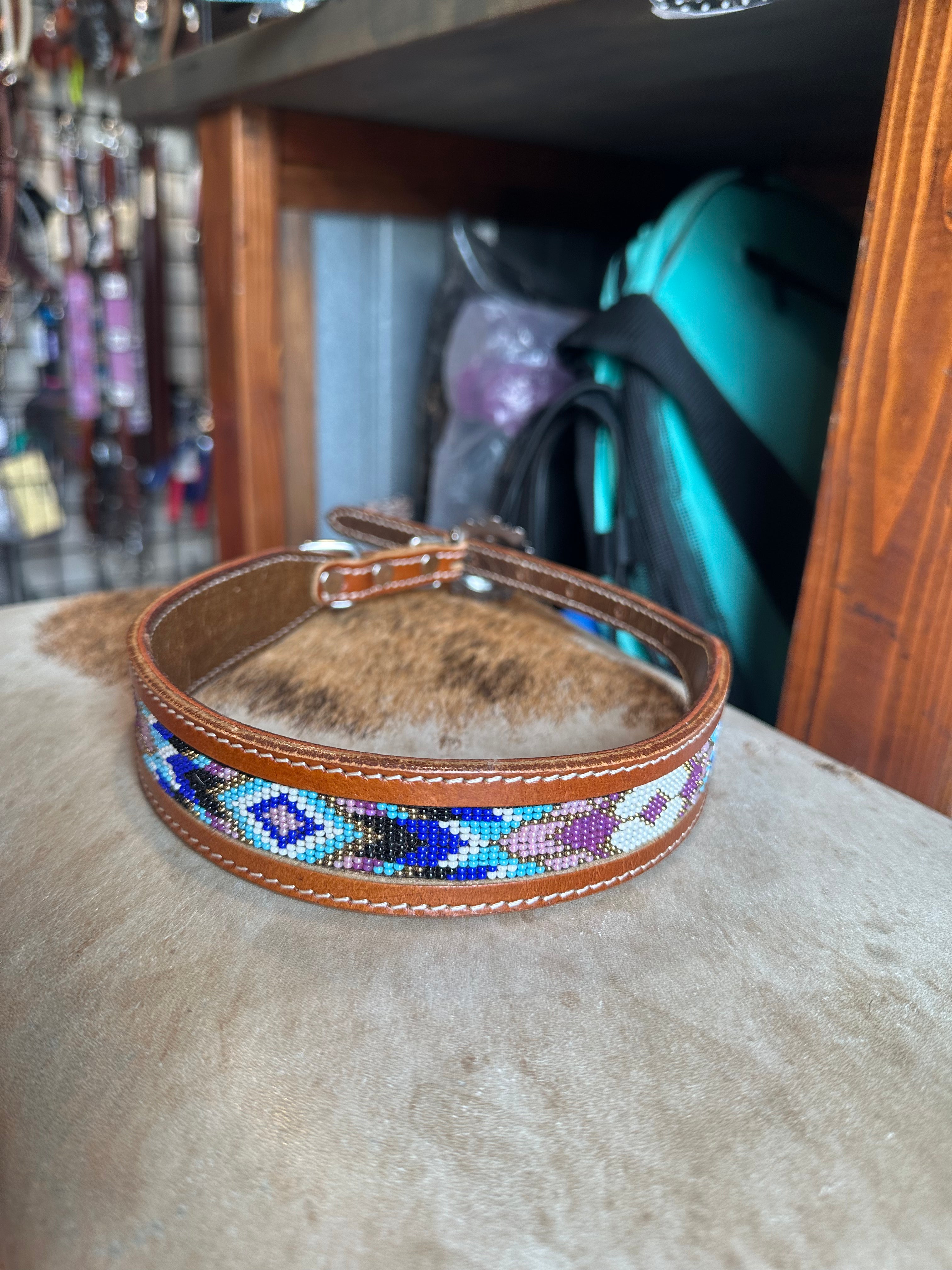 Designer dog collars large